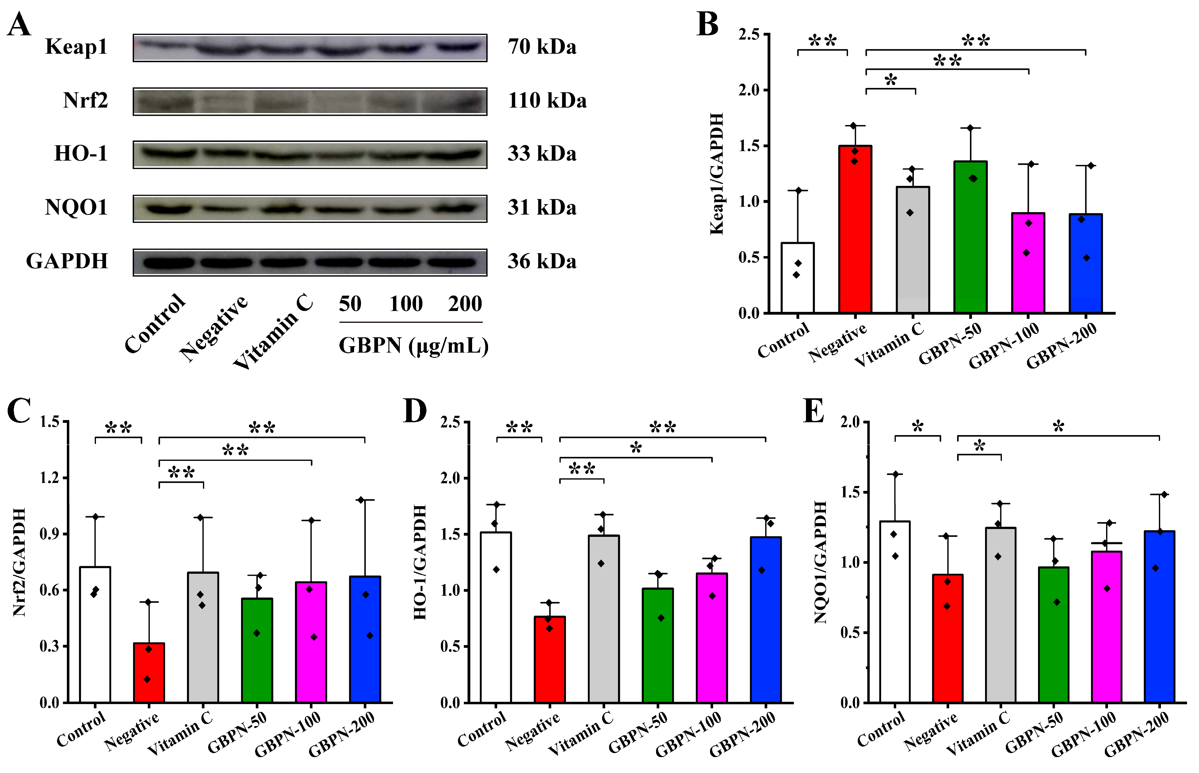 Antioxidants 15 00065 g007 Antioxidants 15 00065 g007