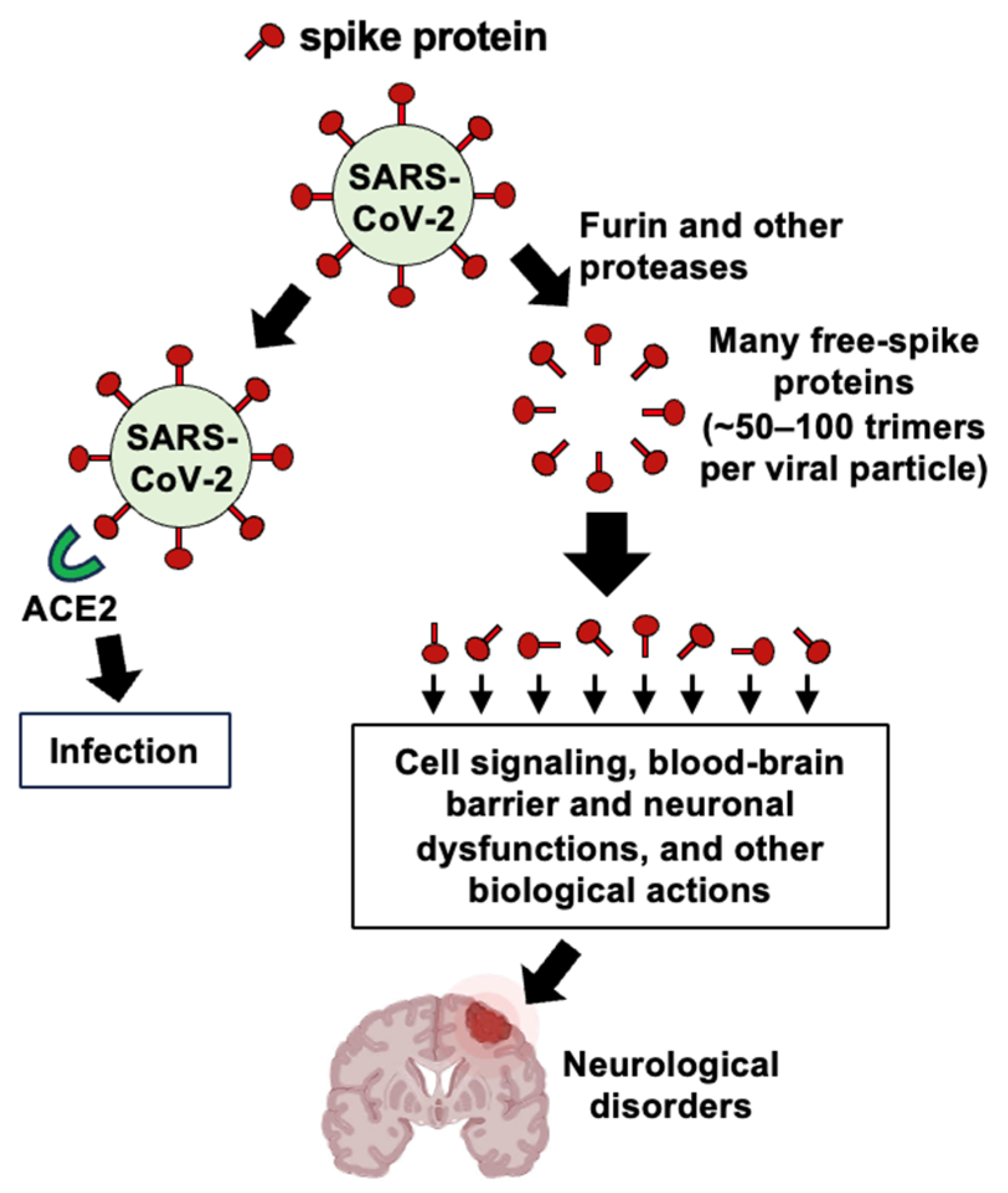 Antioxidants 15 00066 g008 Antioxidants 15 00066 g008