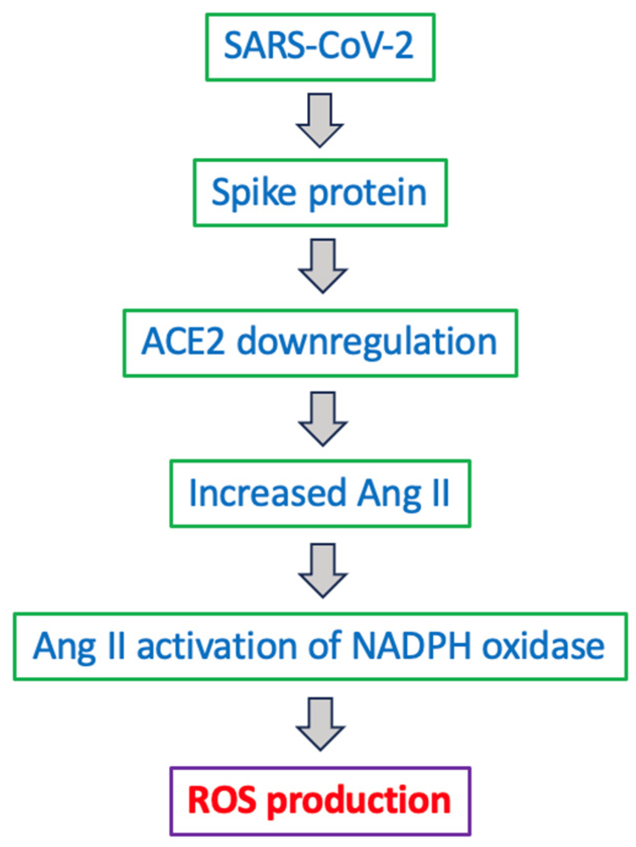 Antioxidants 15 00066 g009 Antioxidants 15 00066 g009