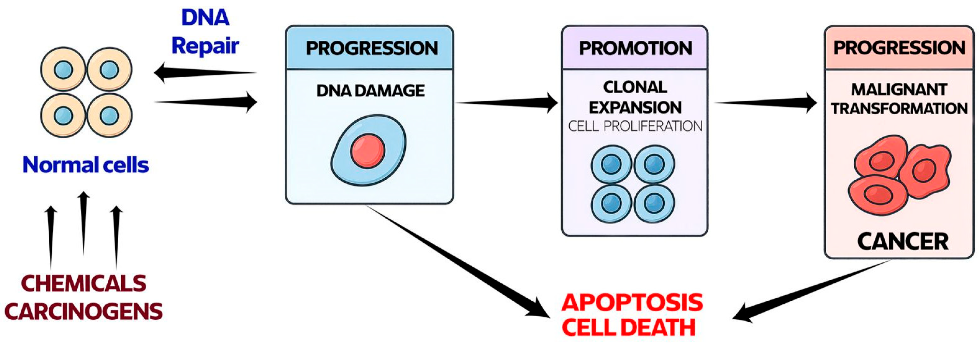 Antioxidants 15 00067 g001 Antioxidants 15 00067 g001