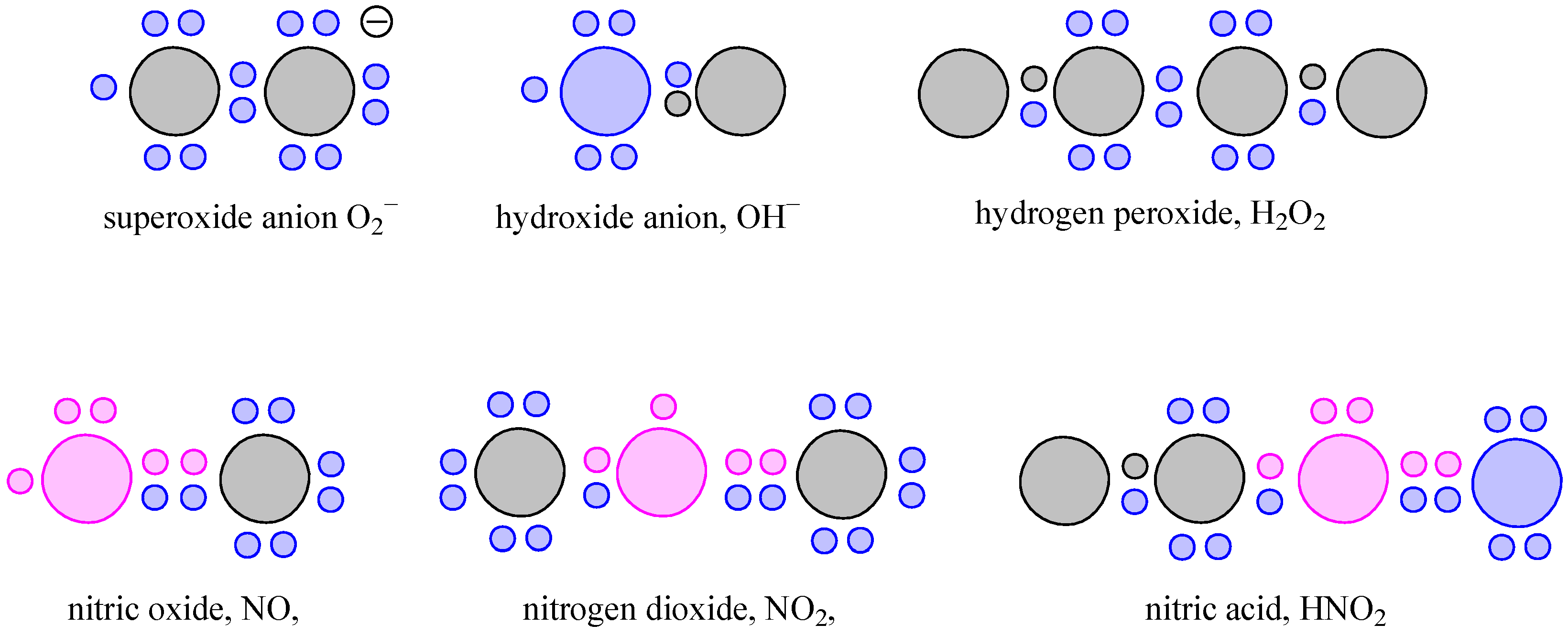 Antioxidants 15 00067 g002 Antioxidants 15 00067 g002