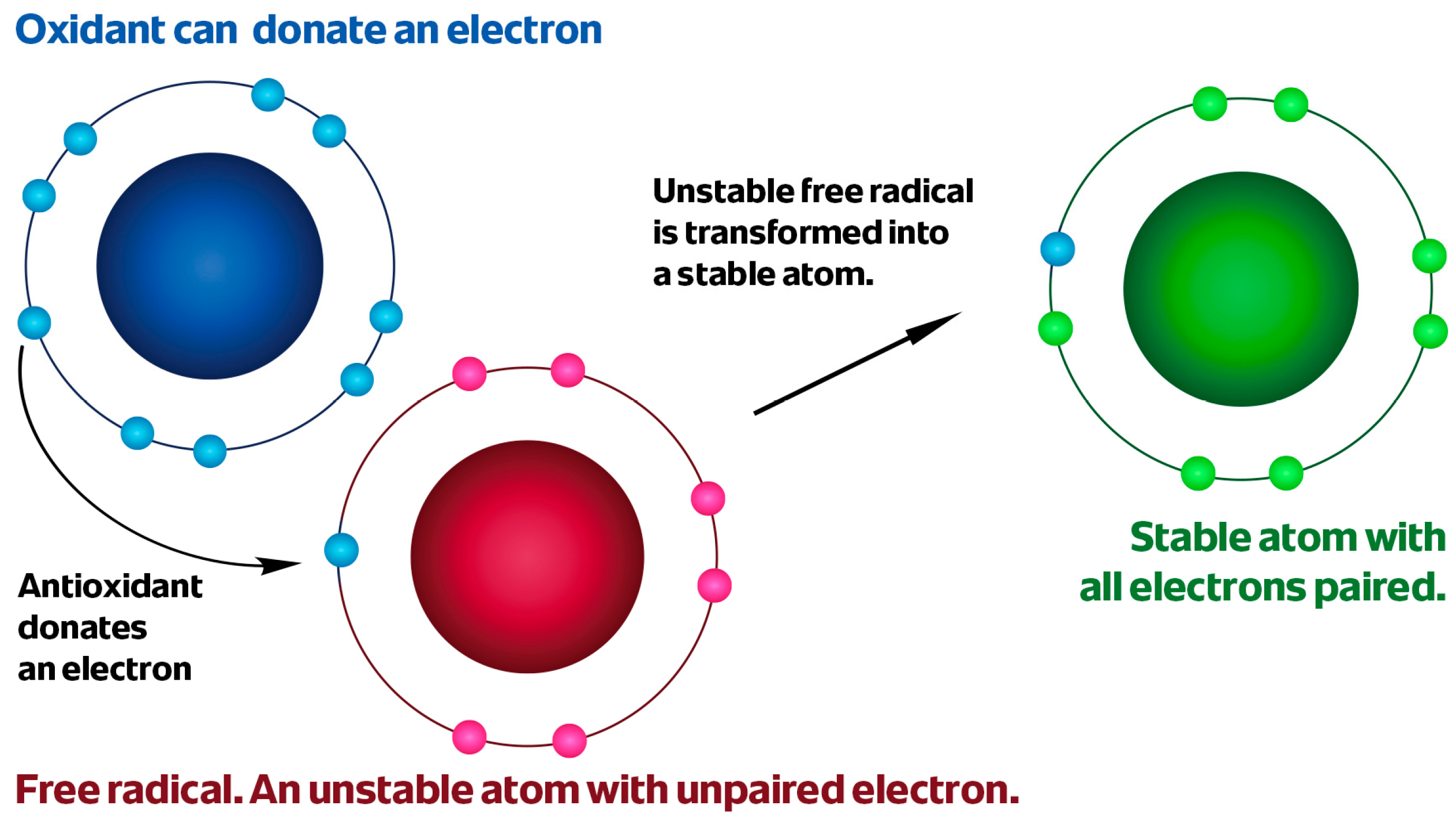 Antioxidants 15 00067 g003 Antioxidants 15 00067 g003