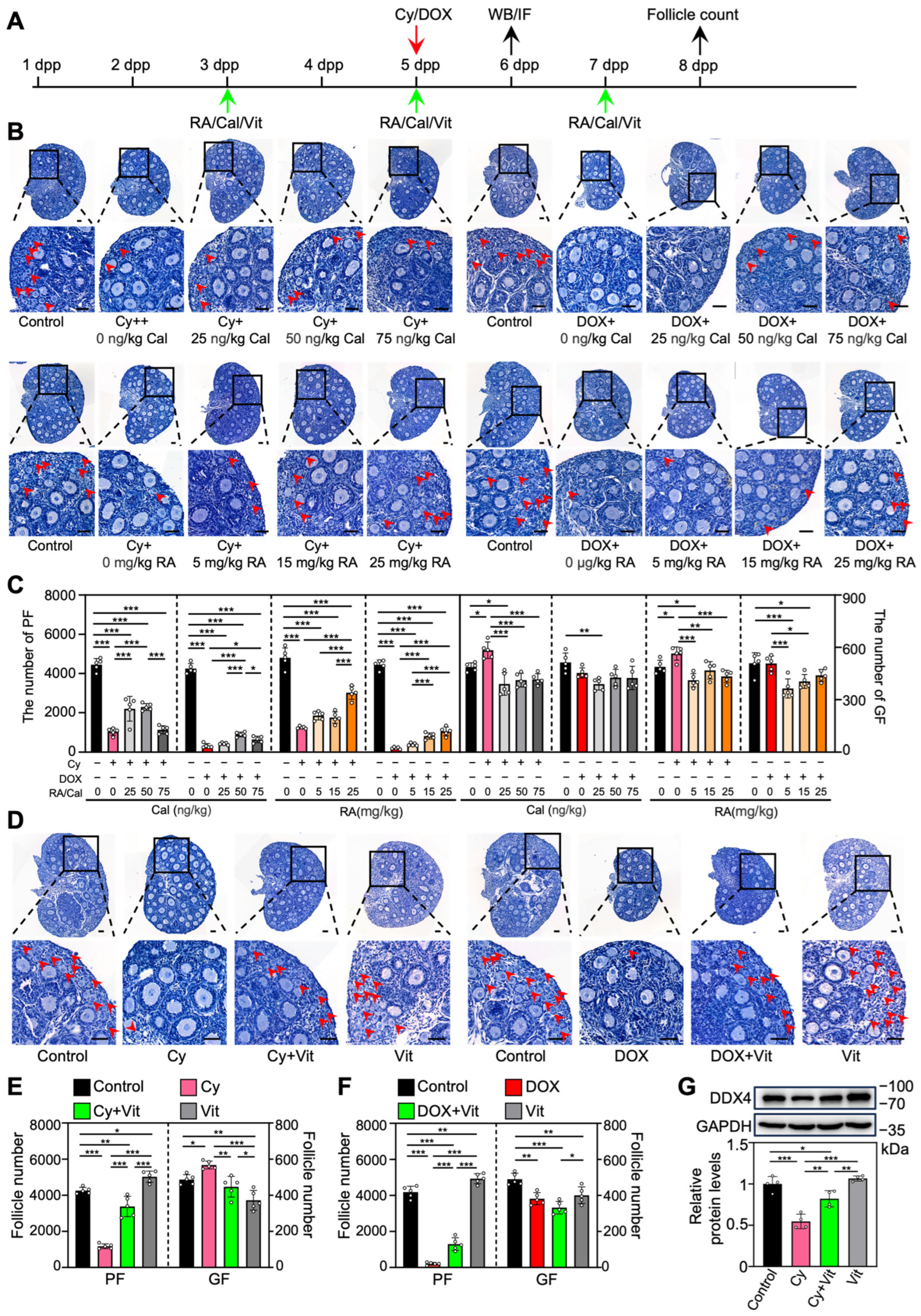 Antioxidants 15 00068 g001 Antioxidants 15 00068 g001