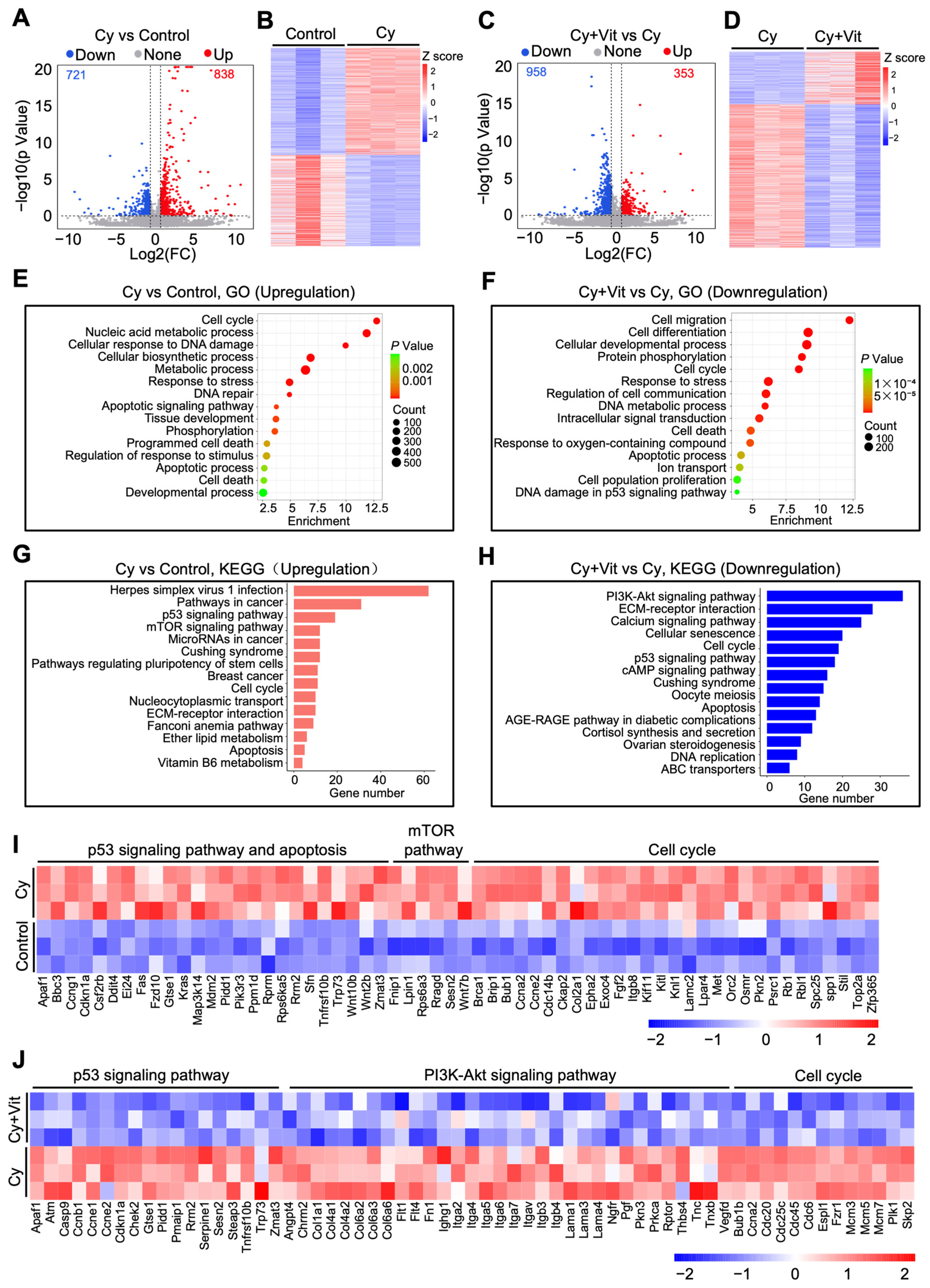 Antioxidants 15 00068 g002 Antioxidants 15 00068 g002