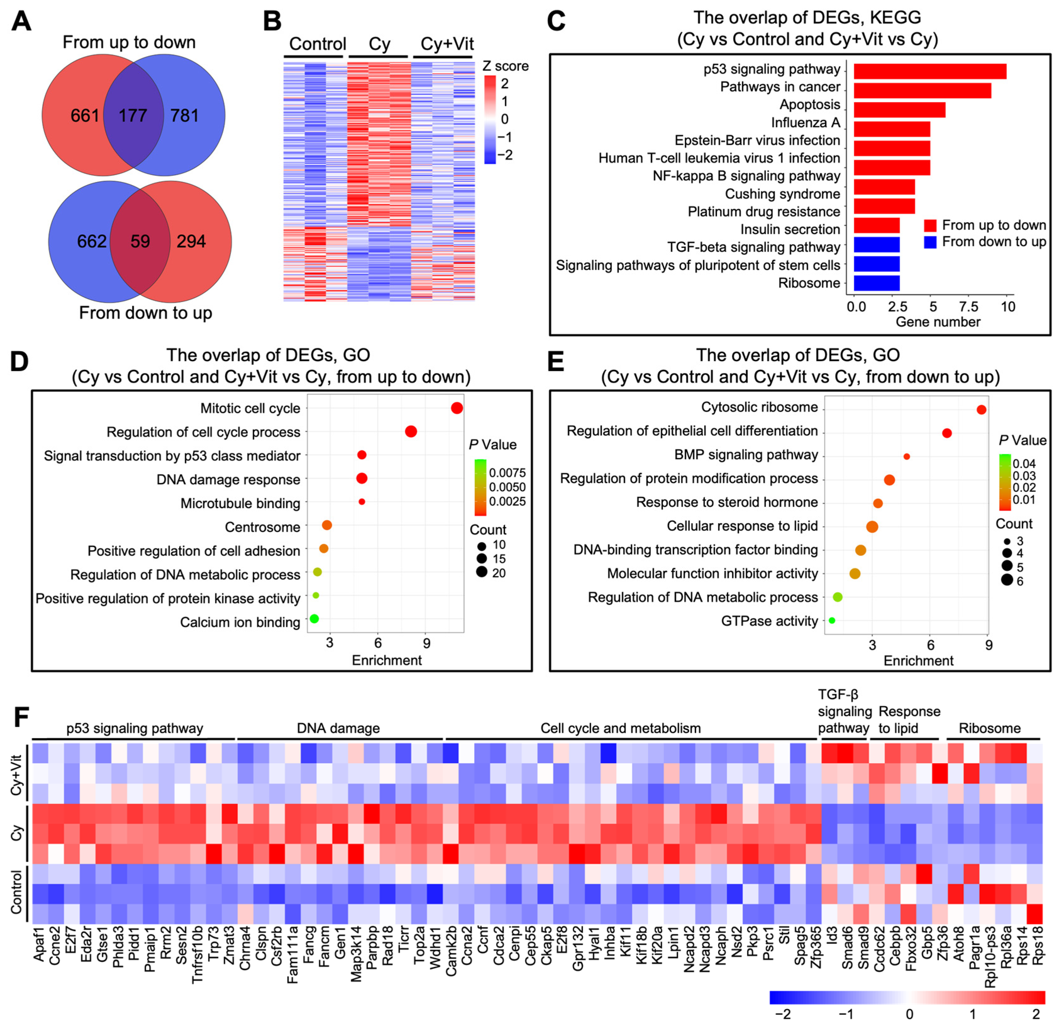 Antioxidants 15 00068 g003 Antioxidants 15 00068 g003