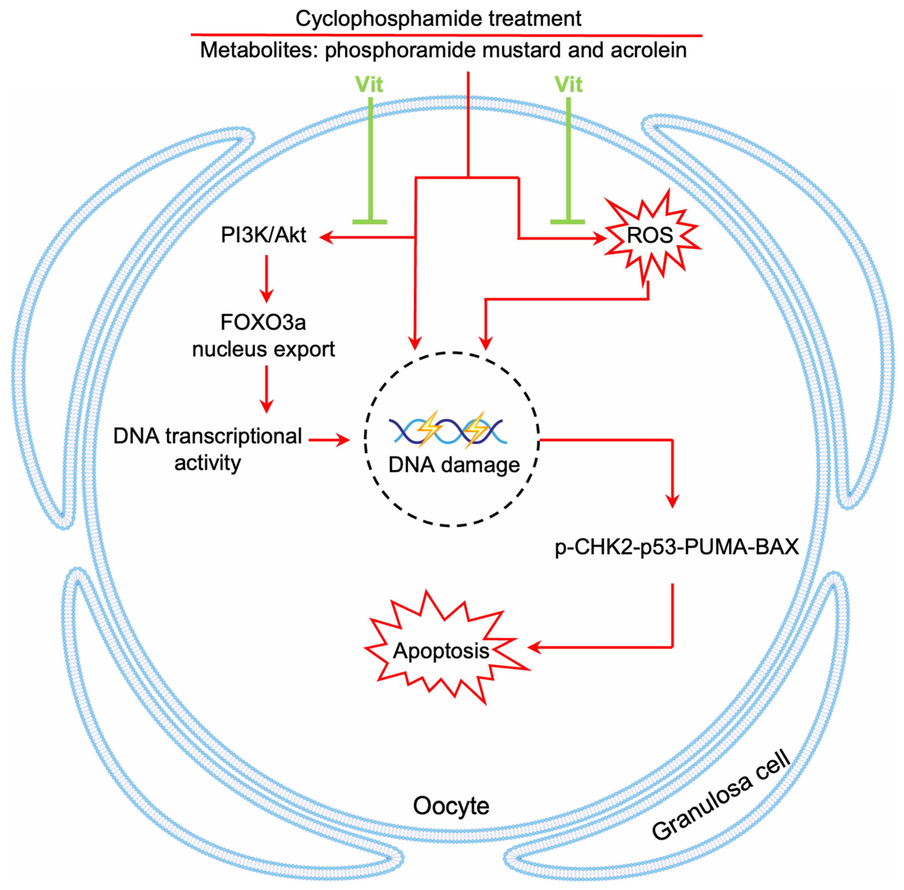 Antioxidants 15 00068 g009 Antioxidants 15 00068 g009