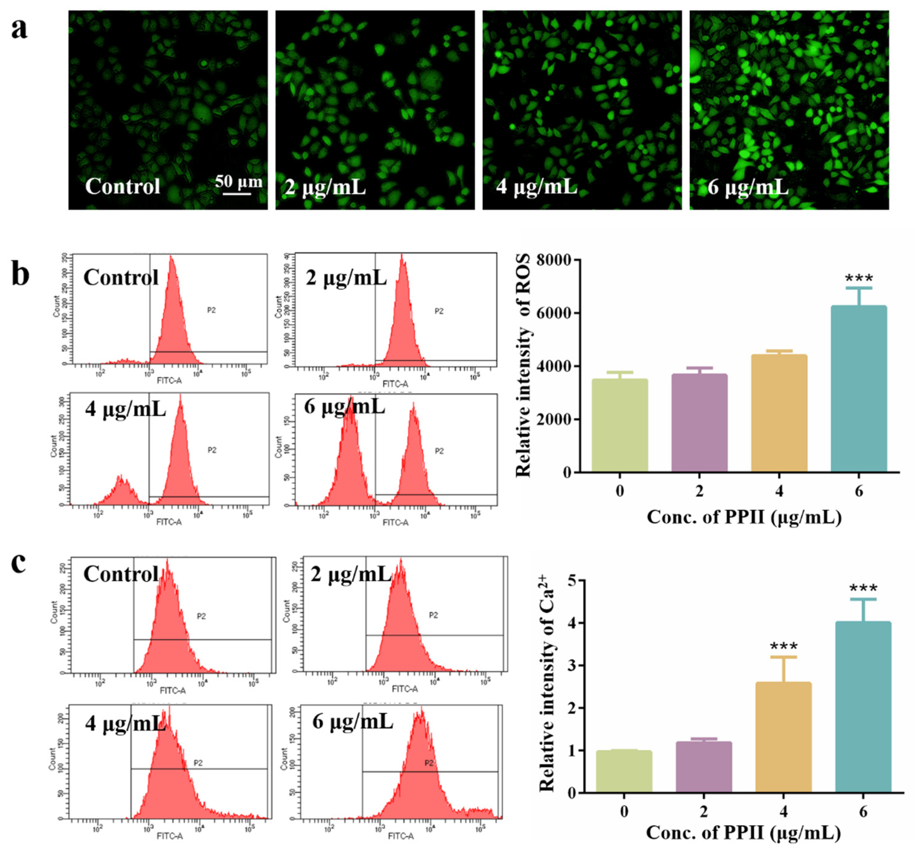Antioxidants 15 00075 g003 Antioxidants 15 00075 g003