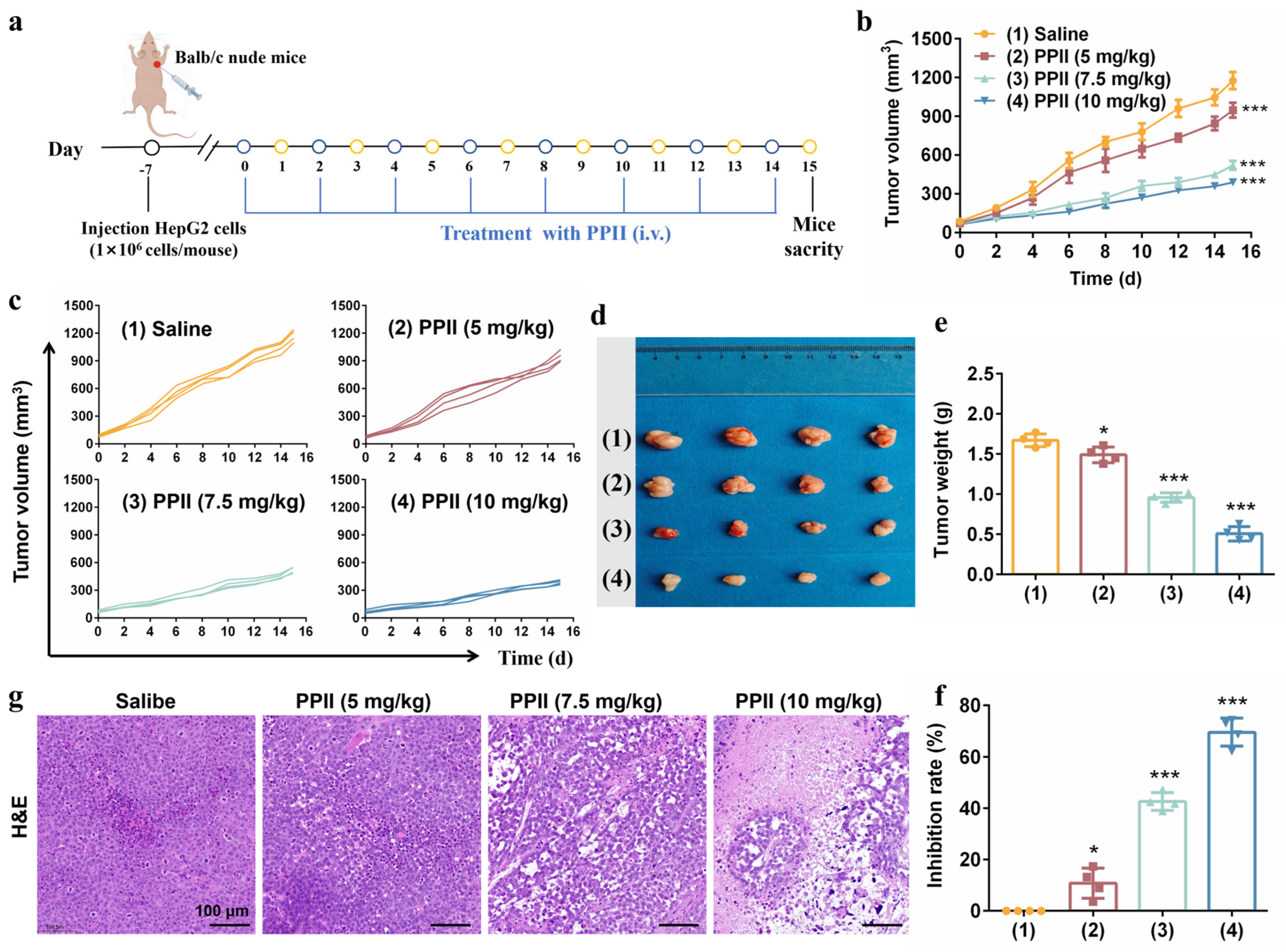Antioxidants 15 00075 g005 Antioxidants 15 00075 g005