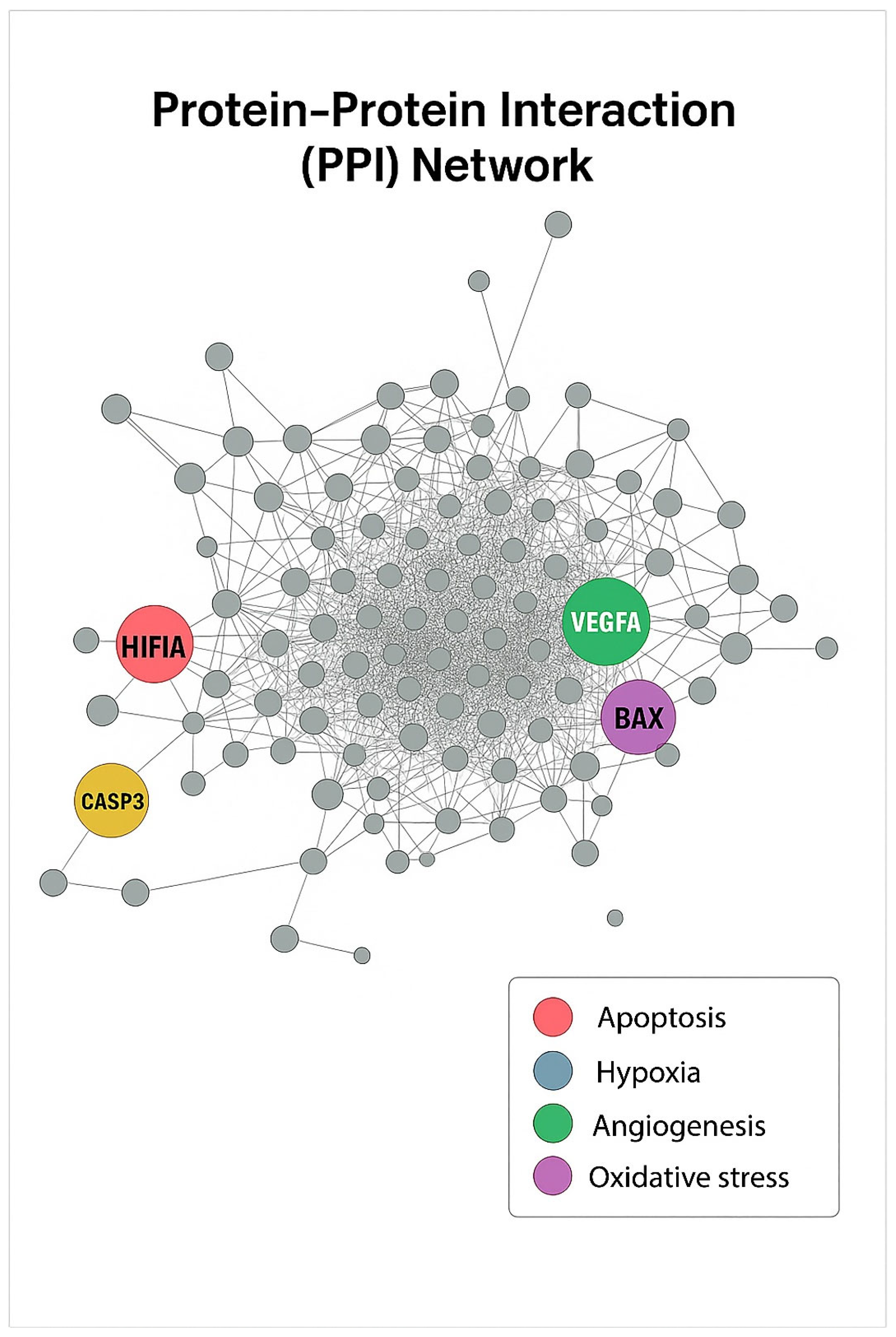 Antioxidants 15 00091 g012