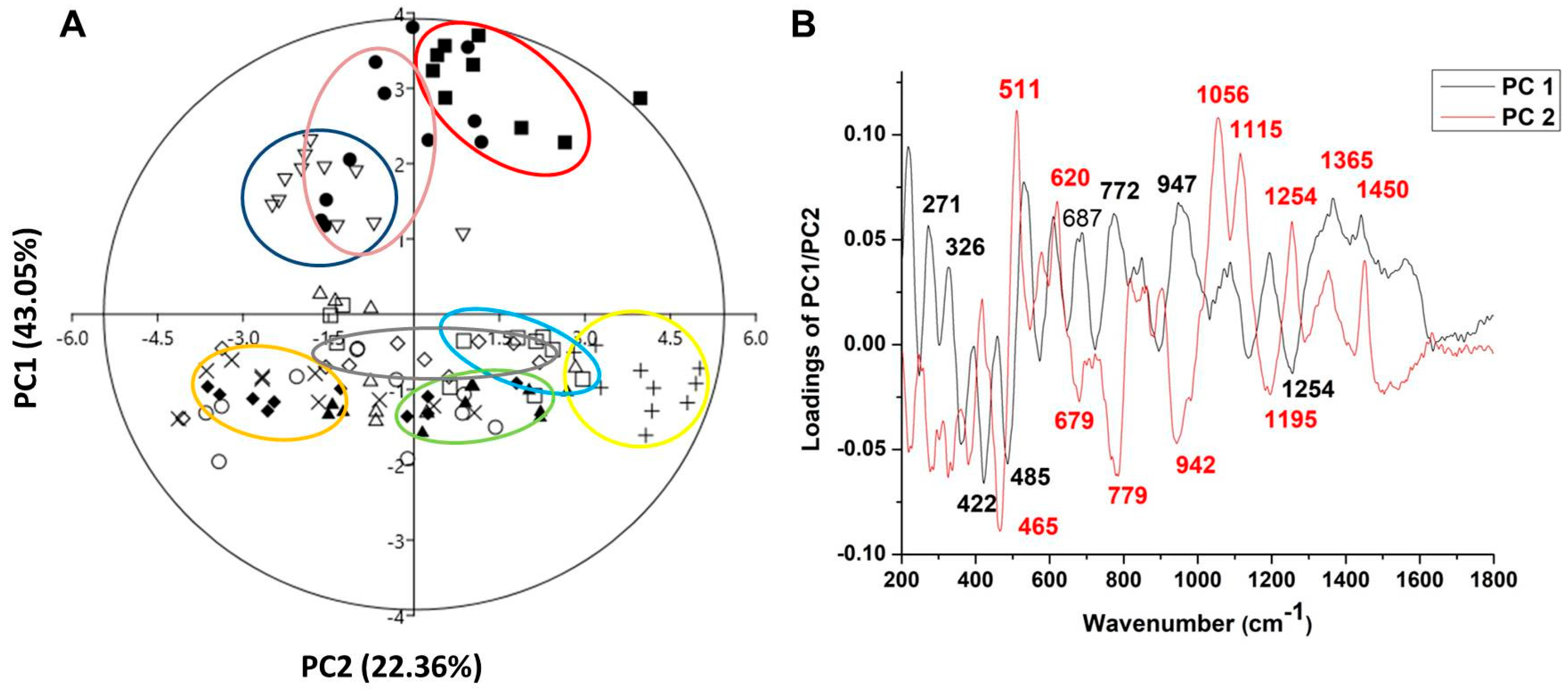 Antioxidants 15 00103 g004