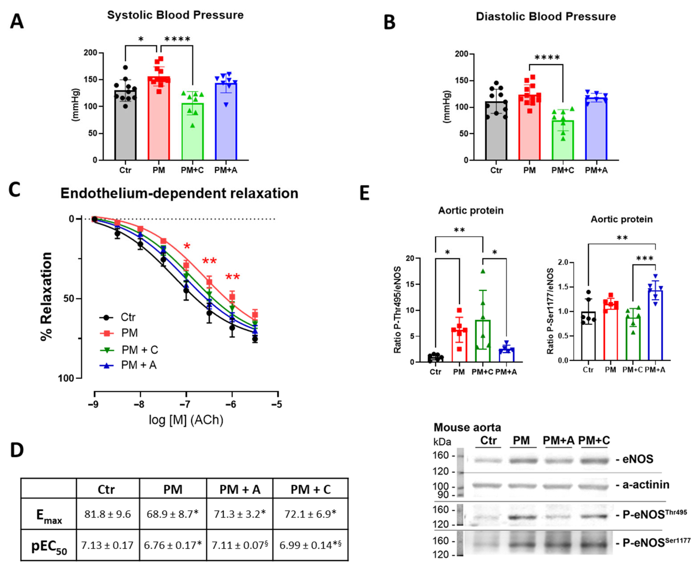 Antioxidants 15 00106 g002