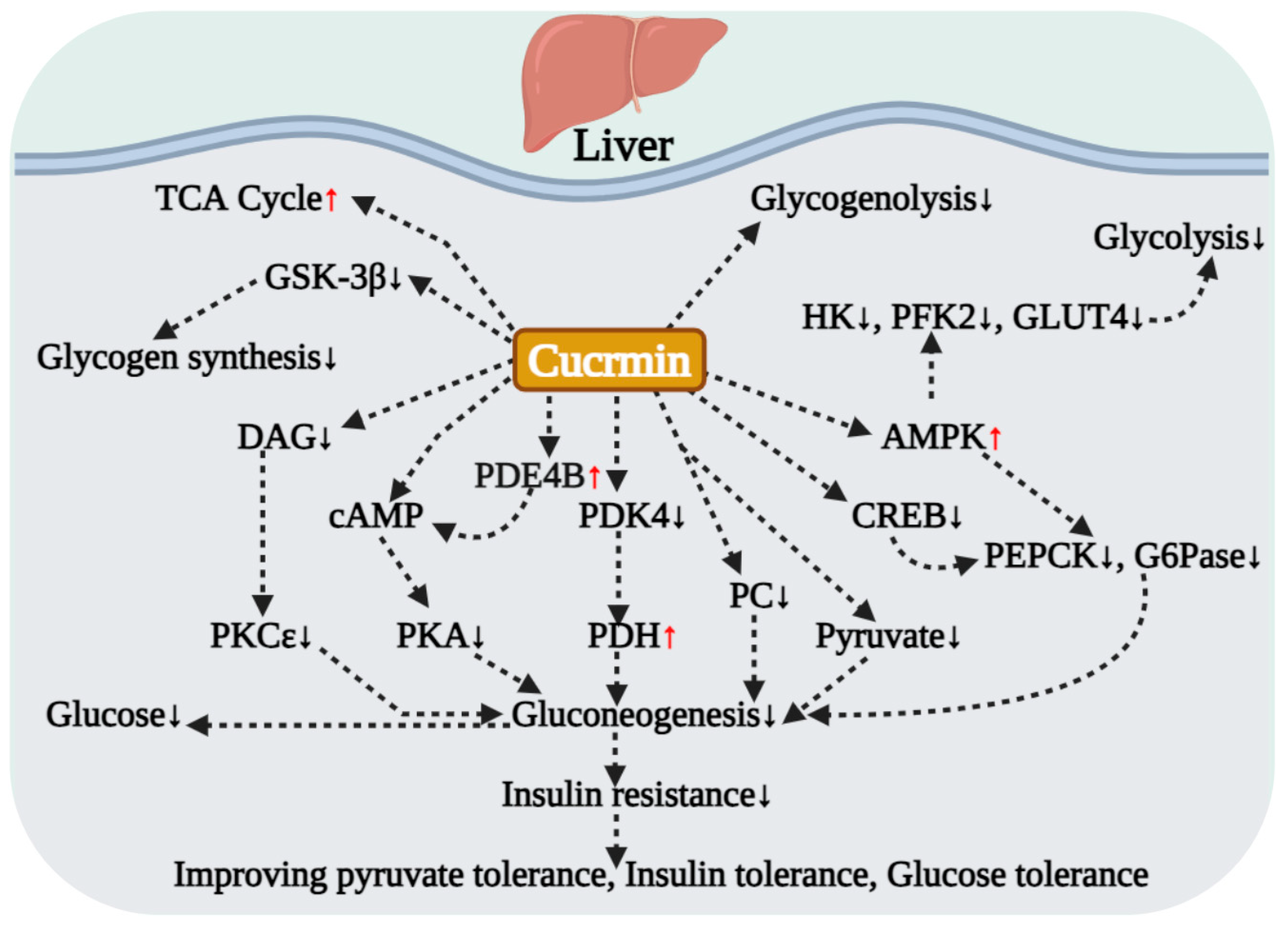 Antioxidants 15 00109 g001 Antioxidants 15 00109 g001