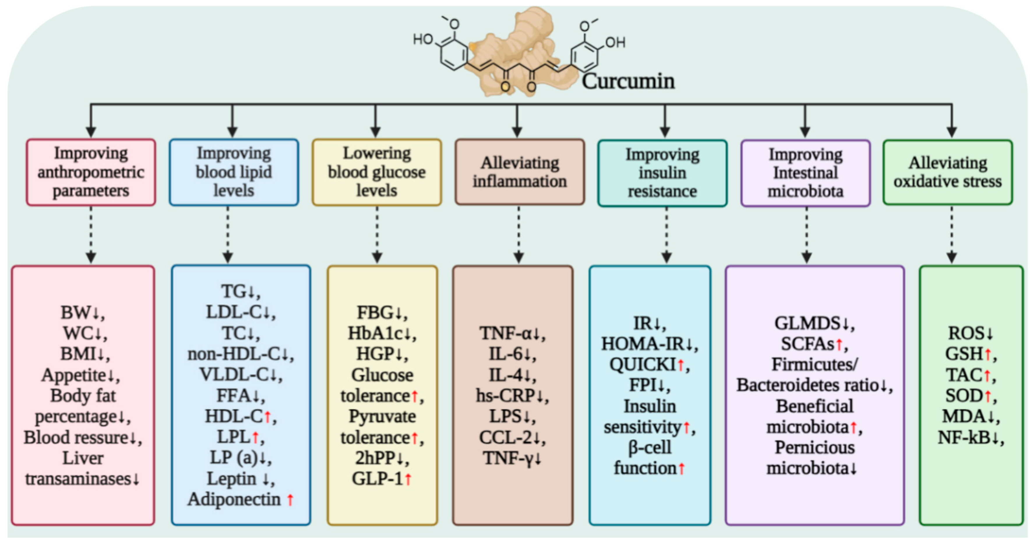 Antioxidants 15 00109 g008 Antioxidants 15 00109 g008