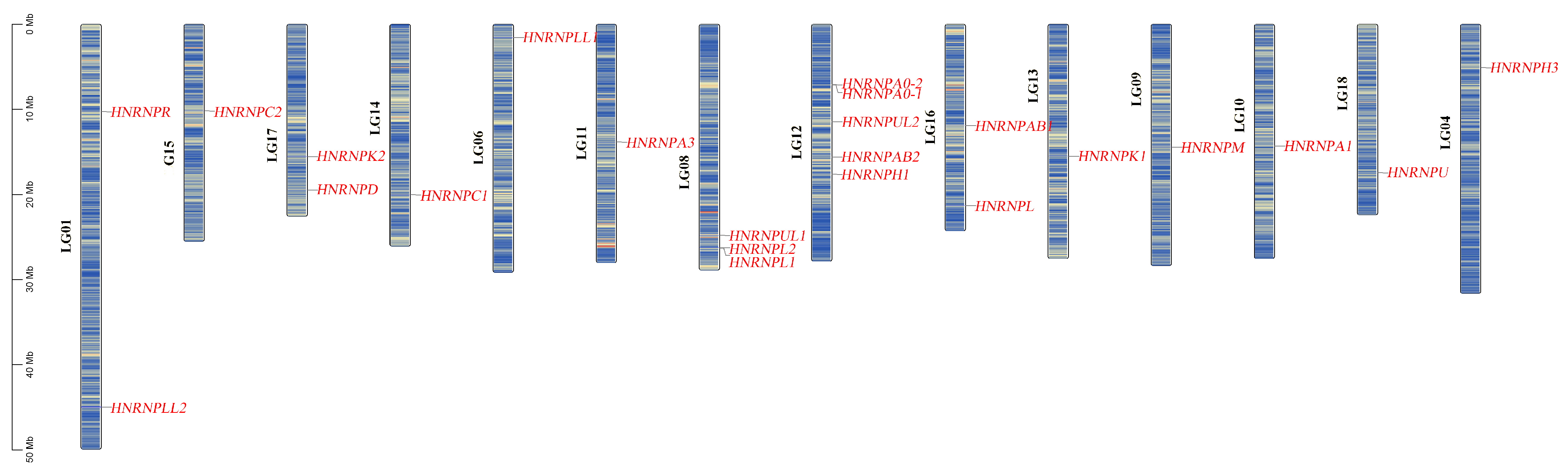 Antioxidants 15 00125 g007