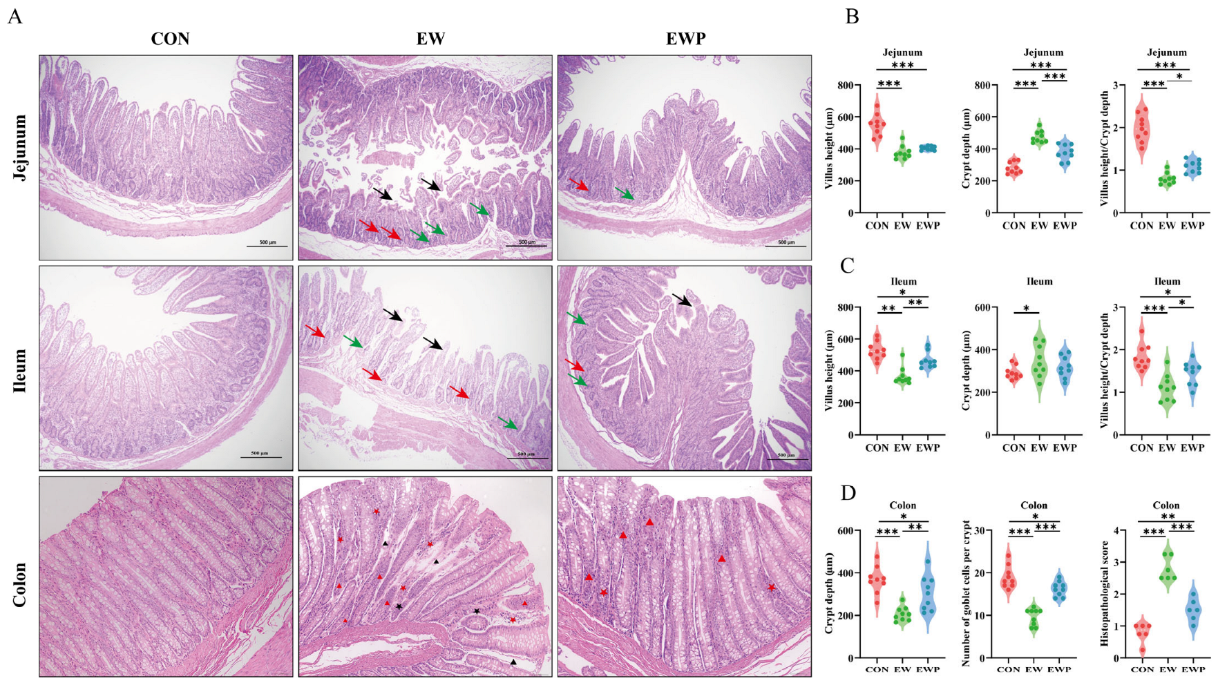 Antioxidants 15 00132 g001