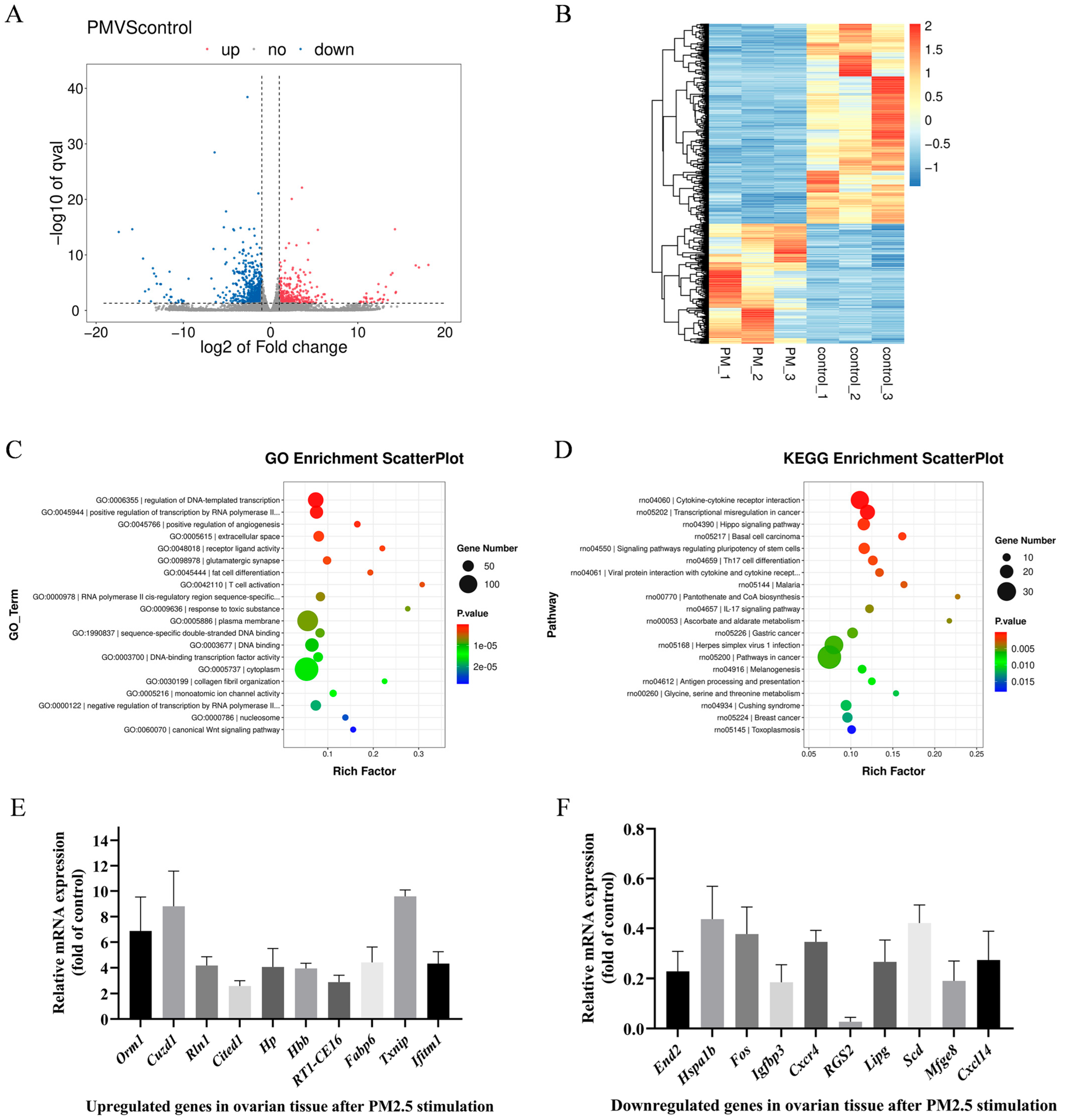 Antioxidants 15 00138 g002
