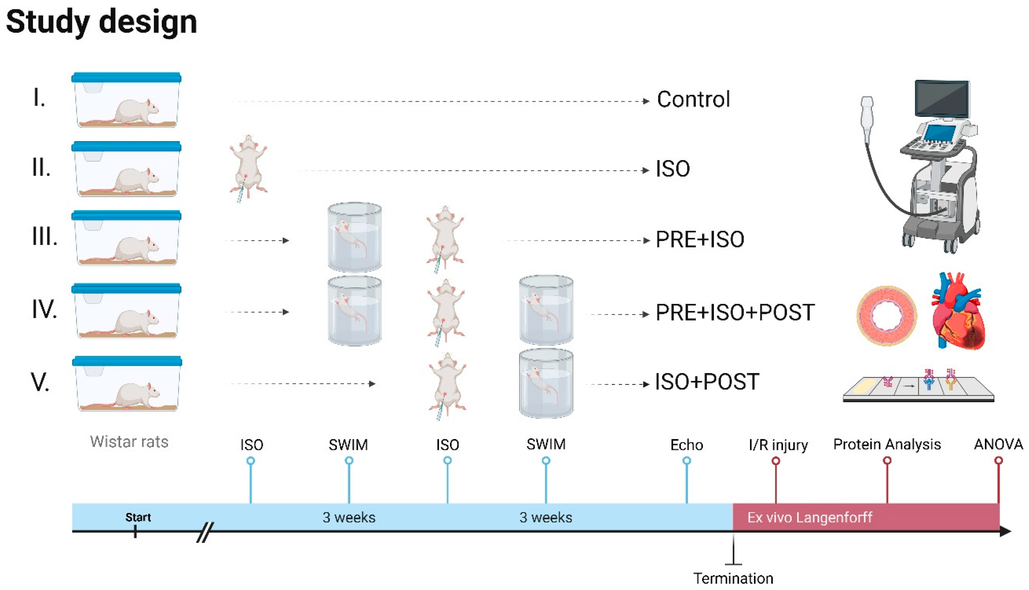 Antioxidants 15 00152 g001 Antioxidants 15 00152 g001