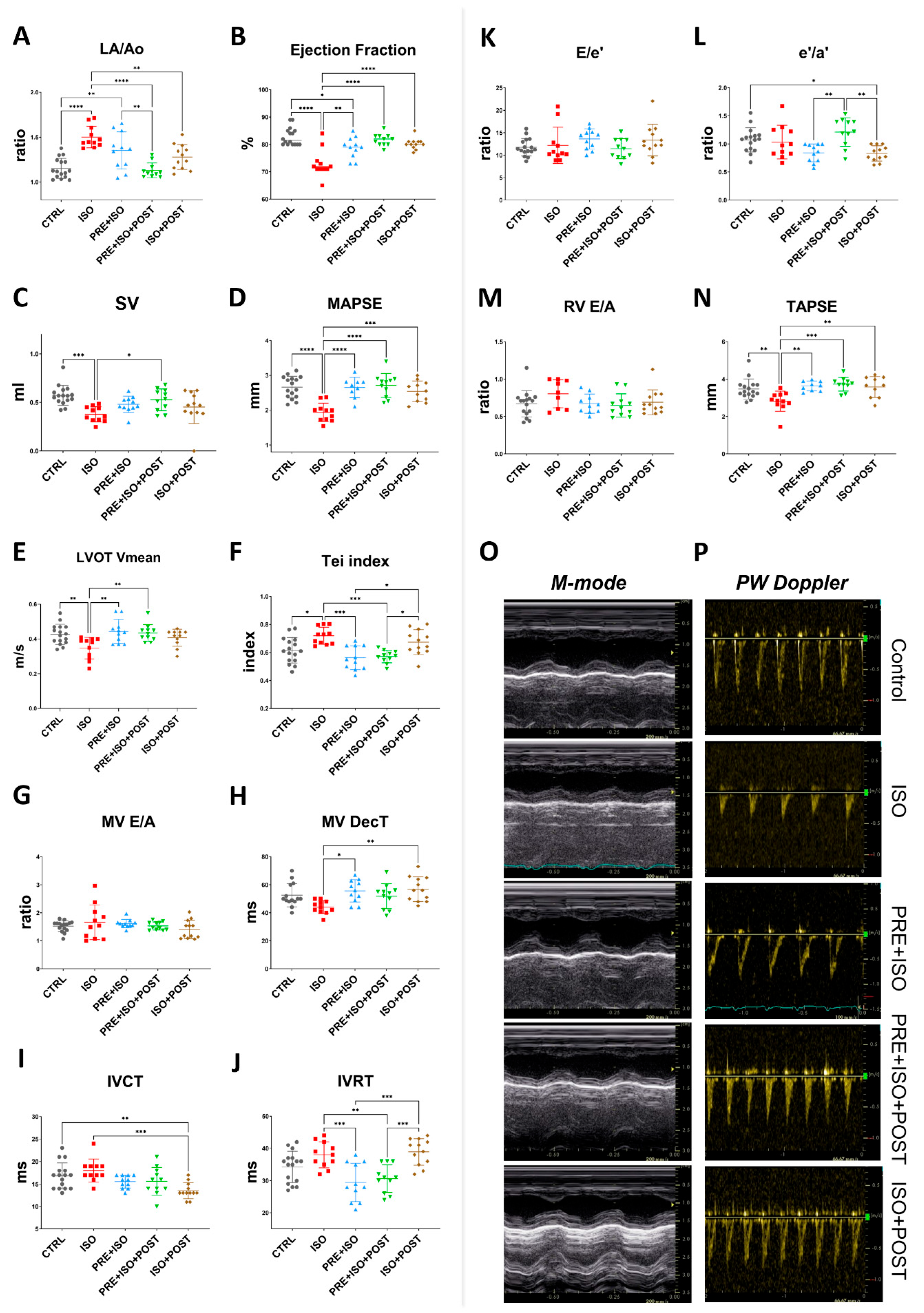 Antioxidants 15 00152 g003 Antioxidants 15 00152 g003