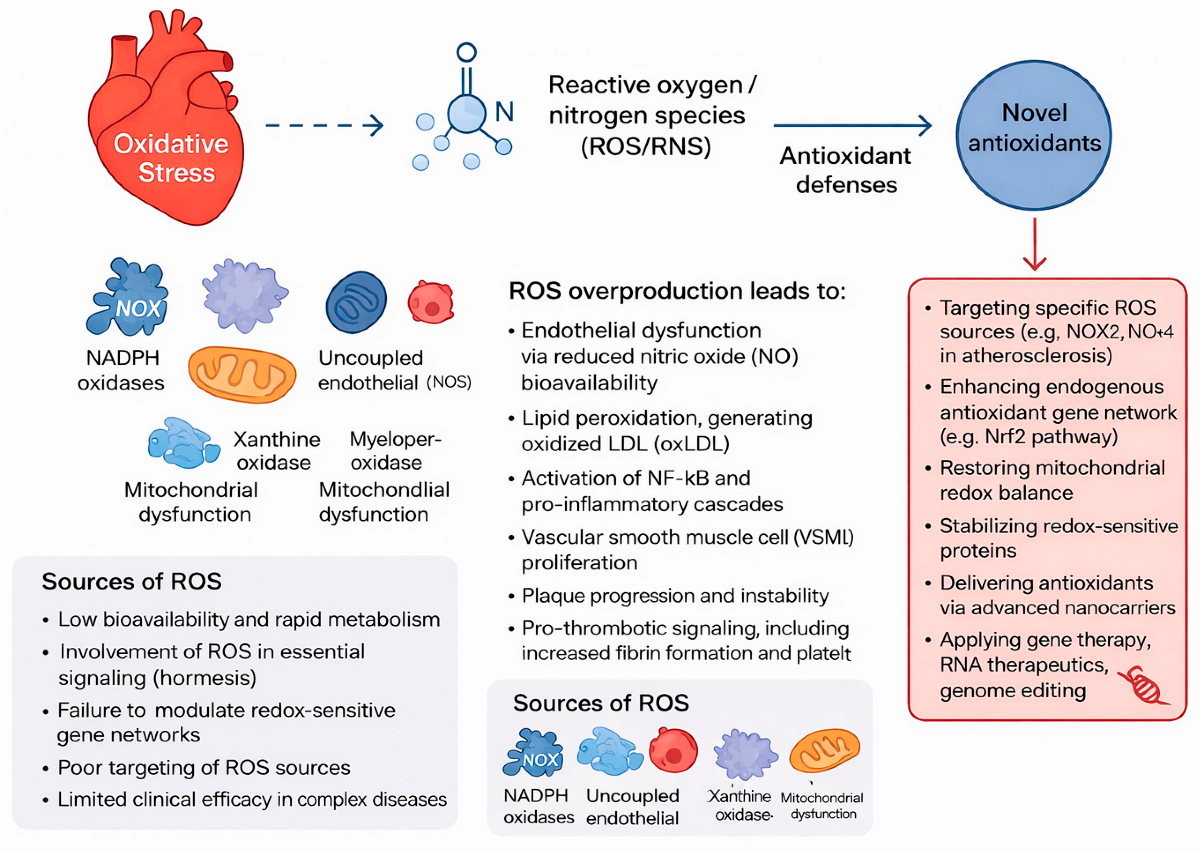 Antioxidants 15 00164 g001