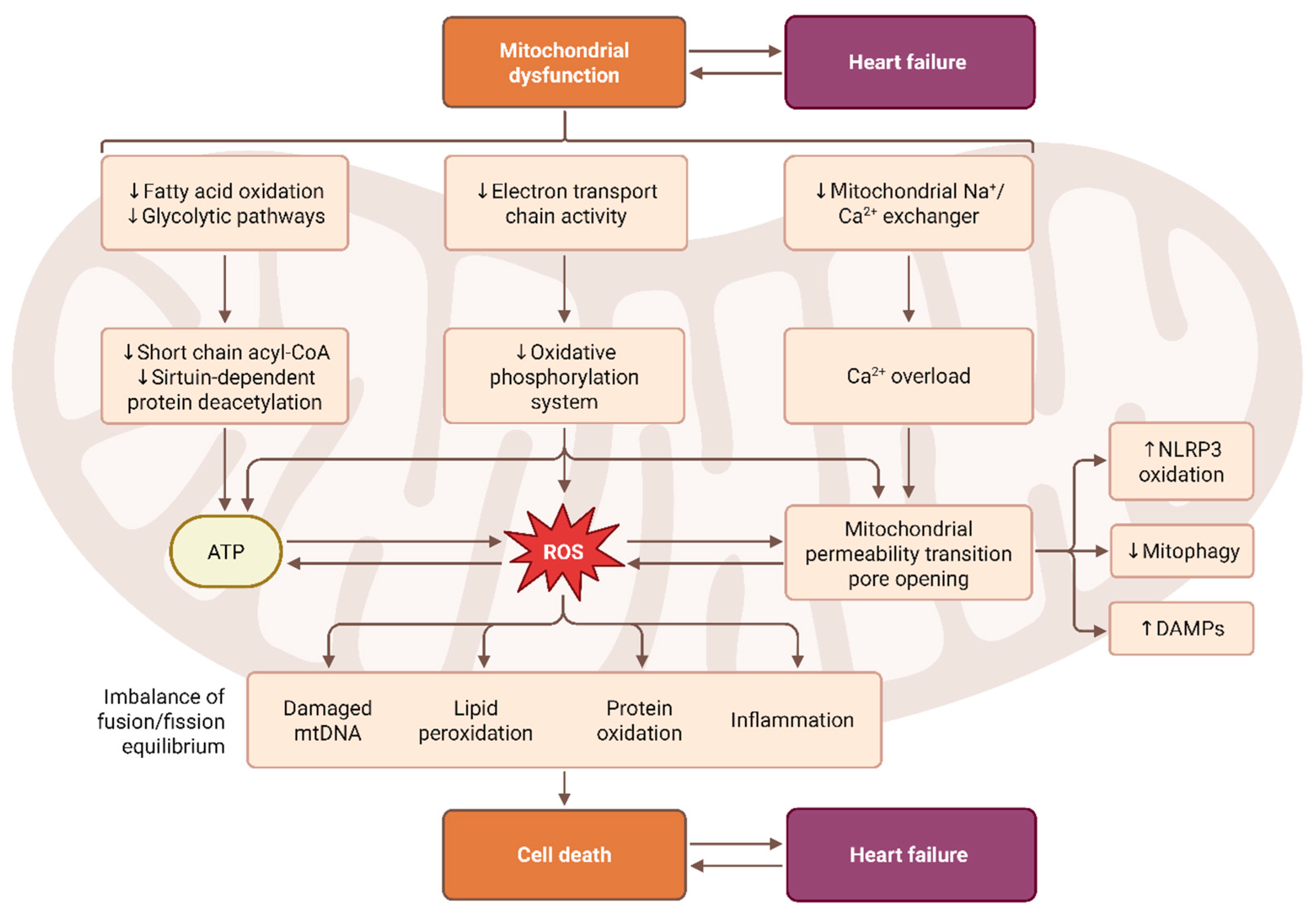 Antioxidants 15 00164 g003