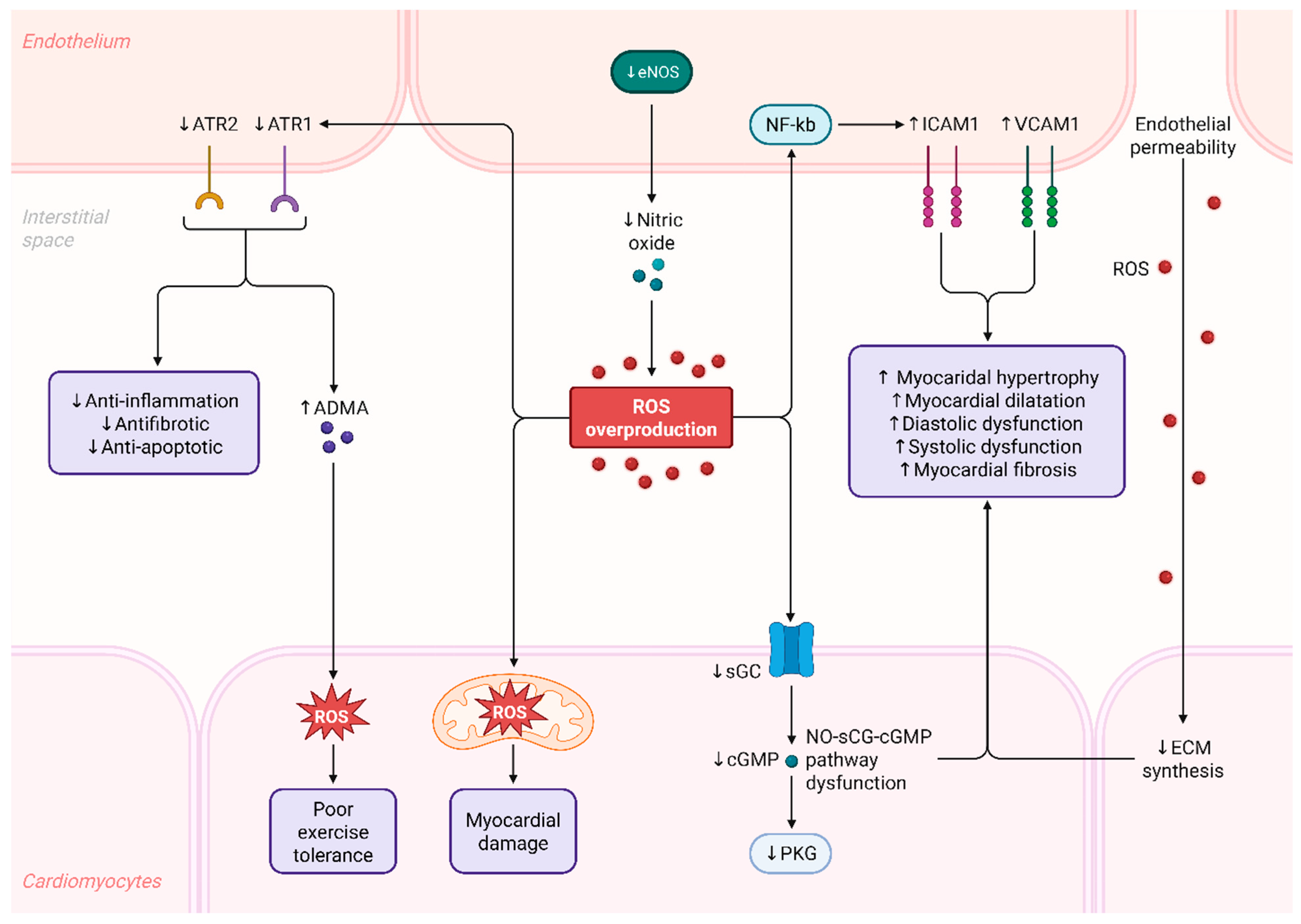 Antioxidants 15 00164 g004