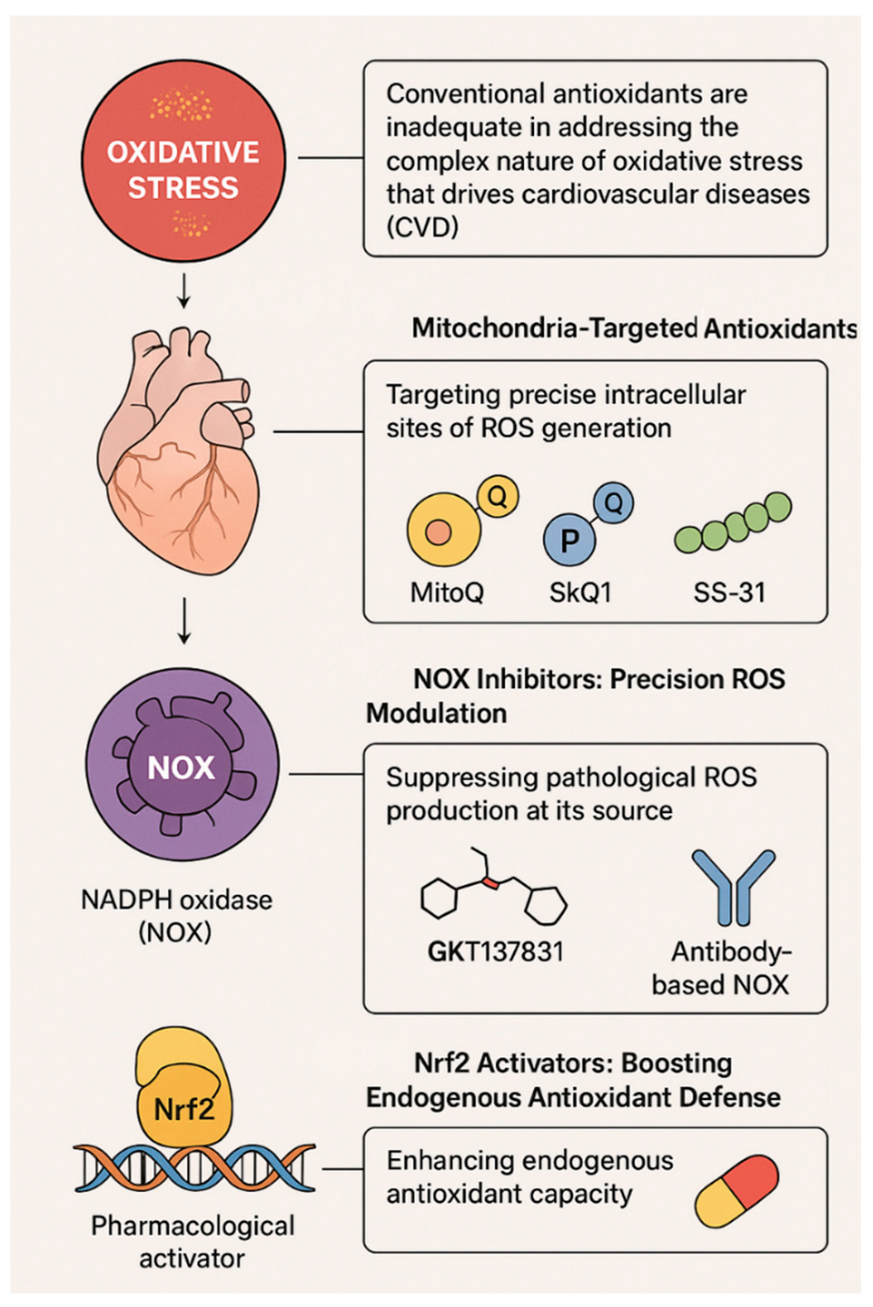 Antioxidants 15 00164 g005