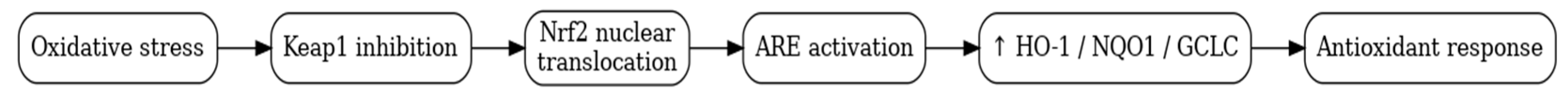 Antioxidants 15 00169 g003