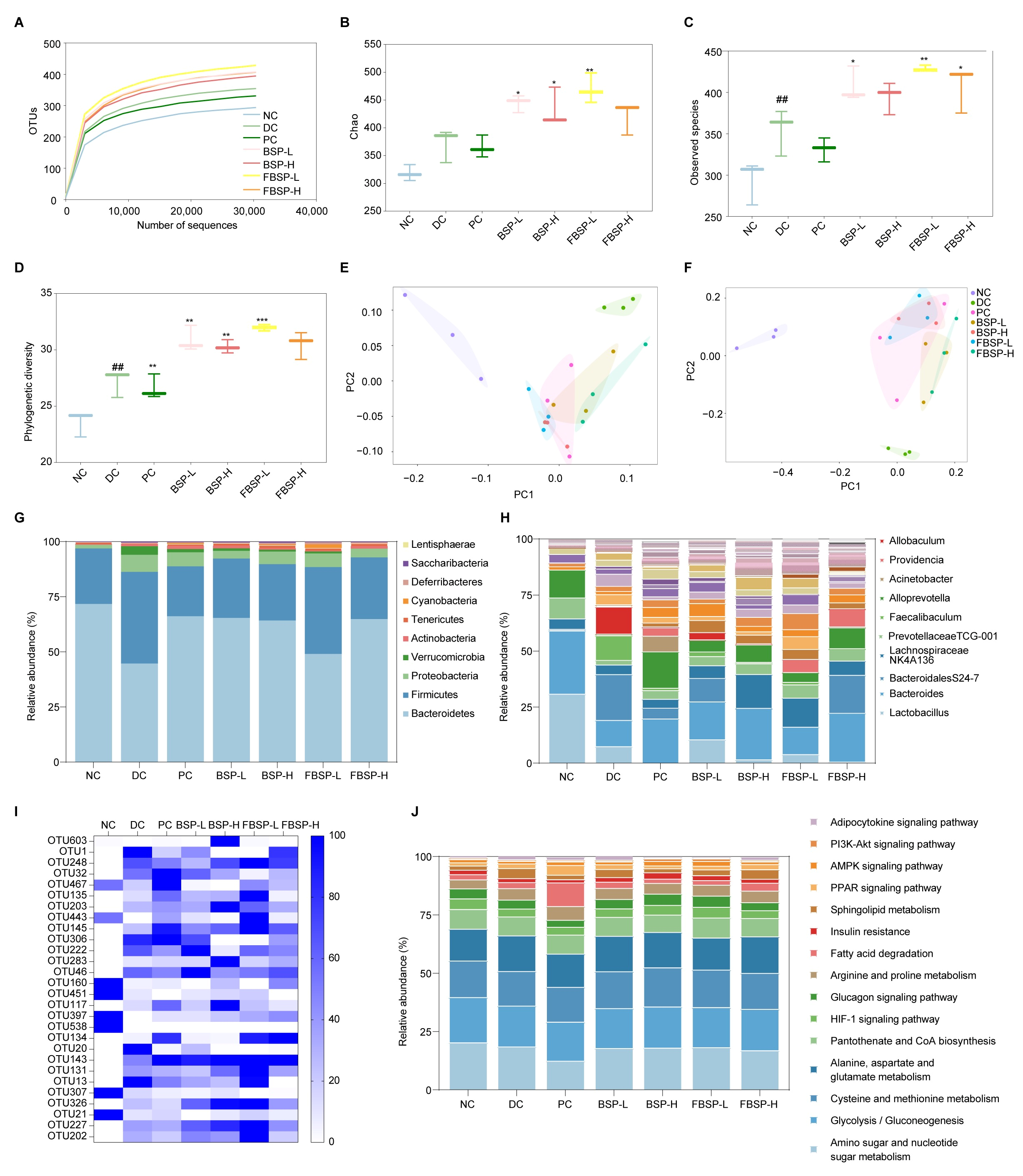 Antioxidants 15 00177 g005