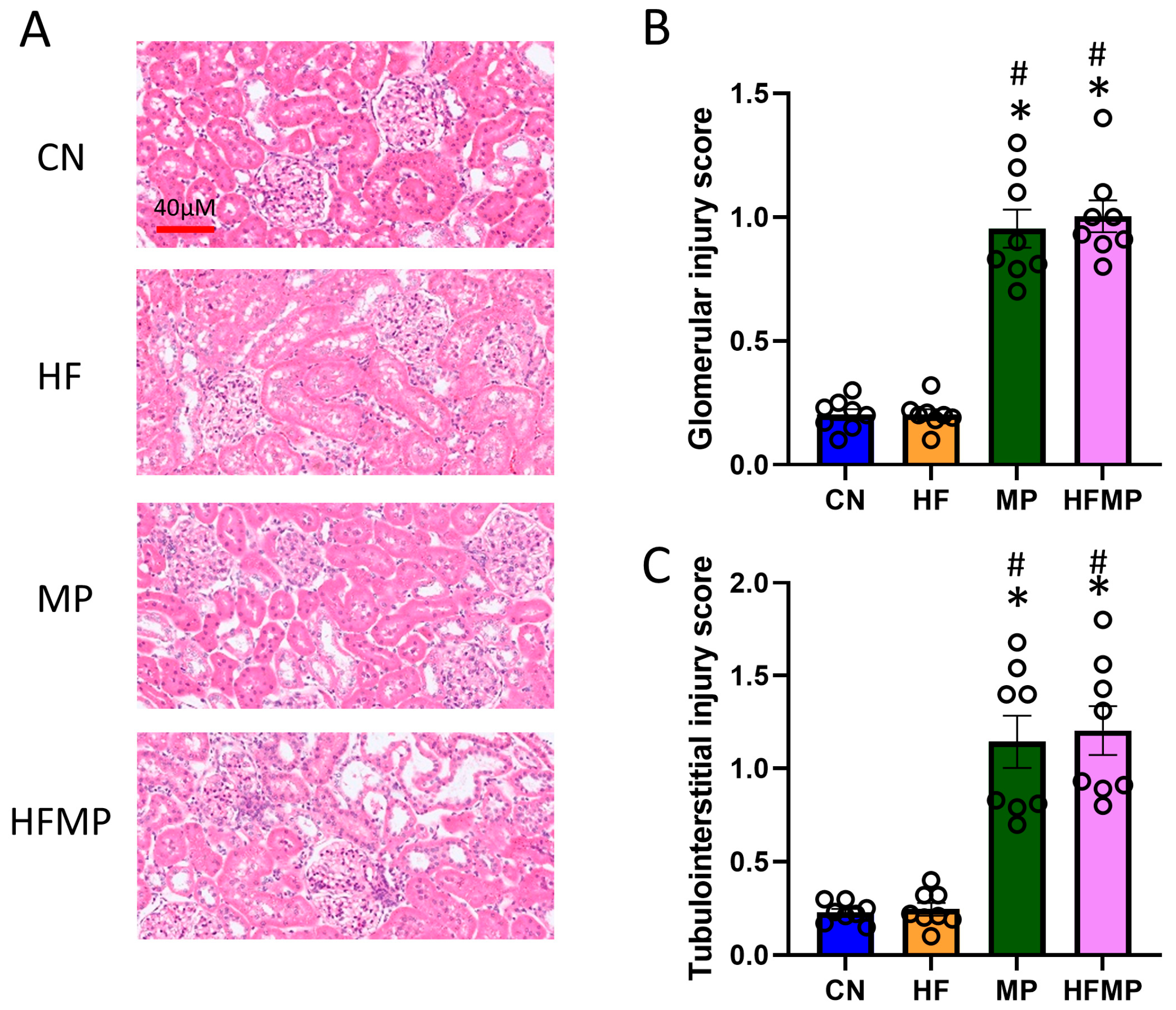 Antioxidants 15 00179 g001