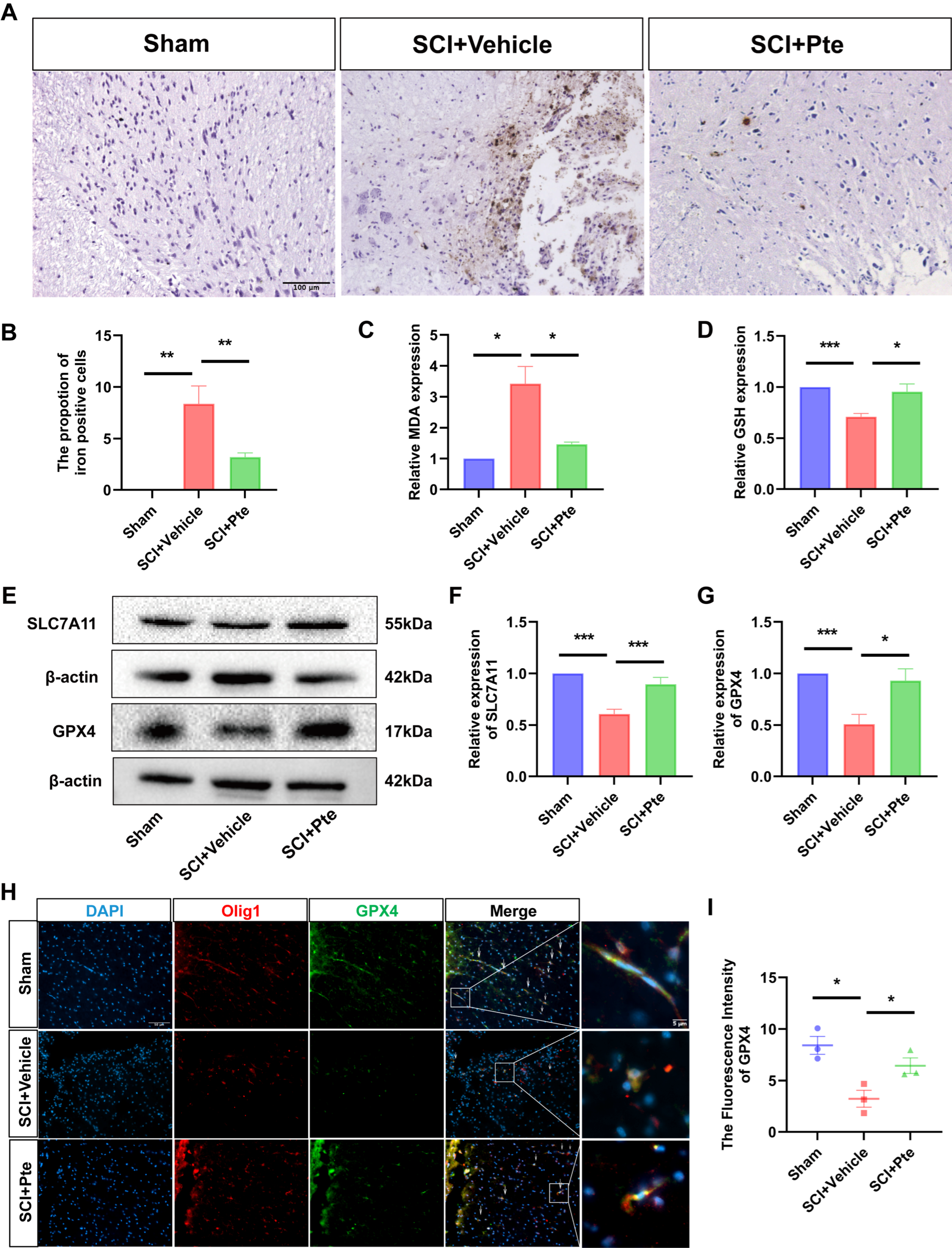 Antioxidants 15 00188 g002