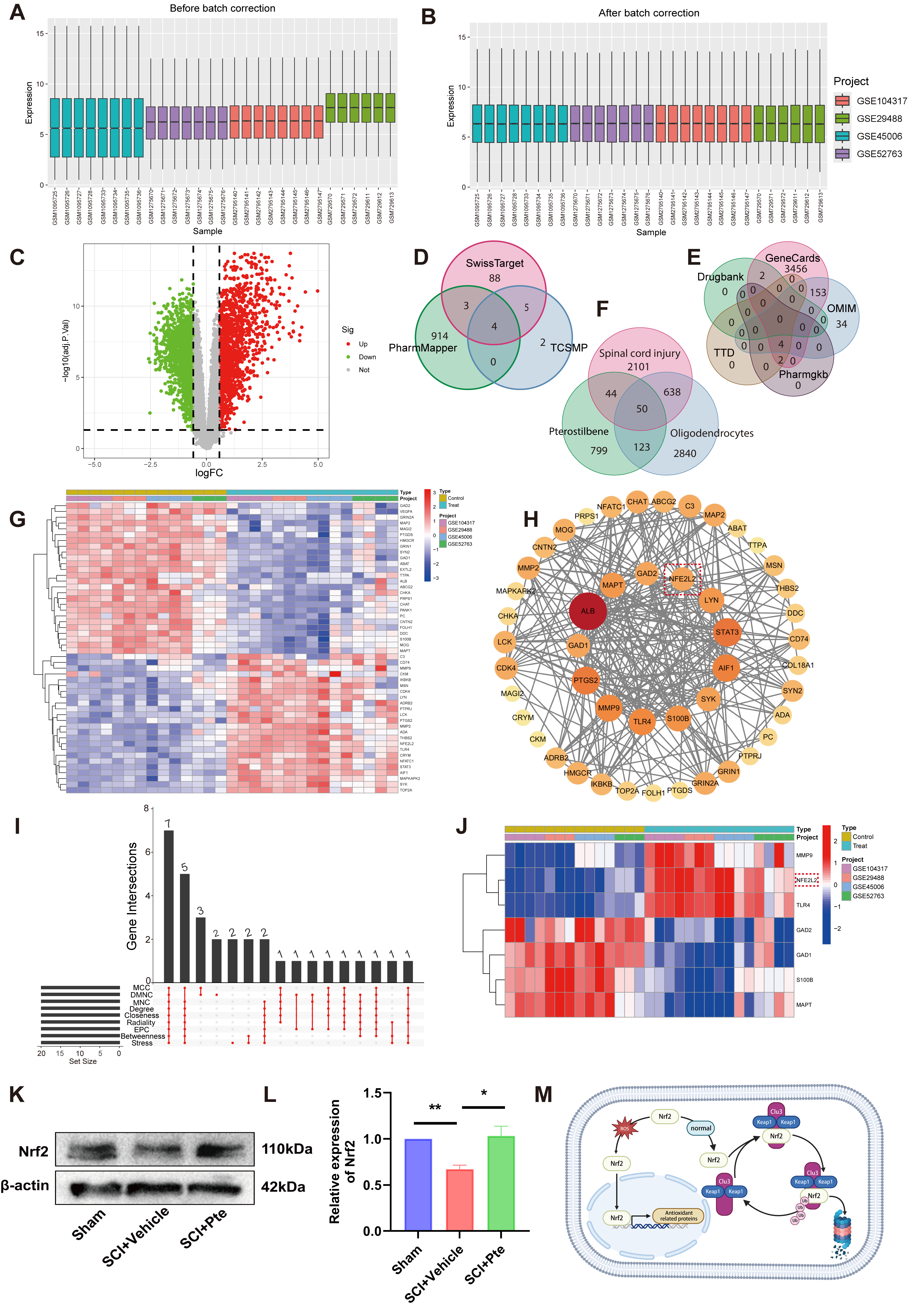Antioxidants 15 00188 g003