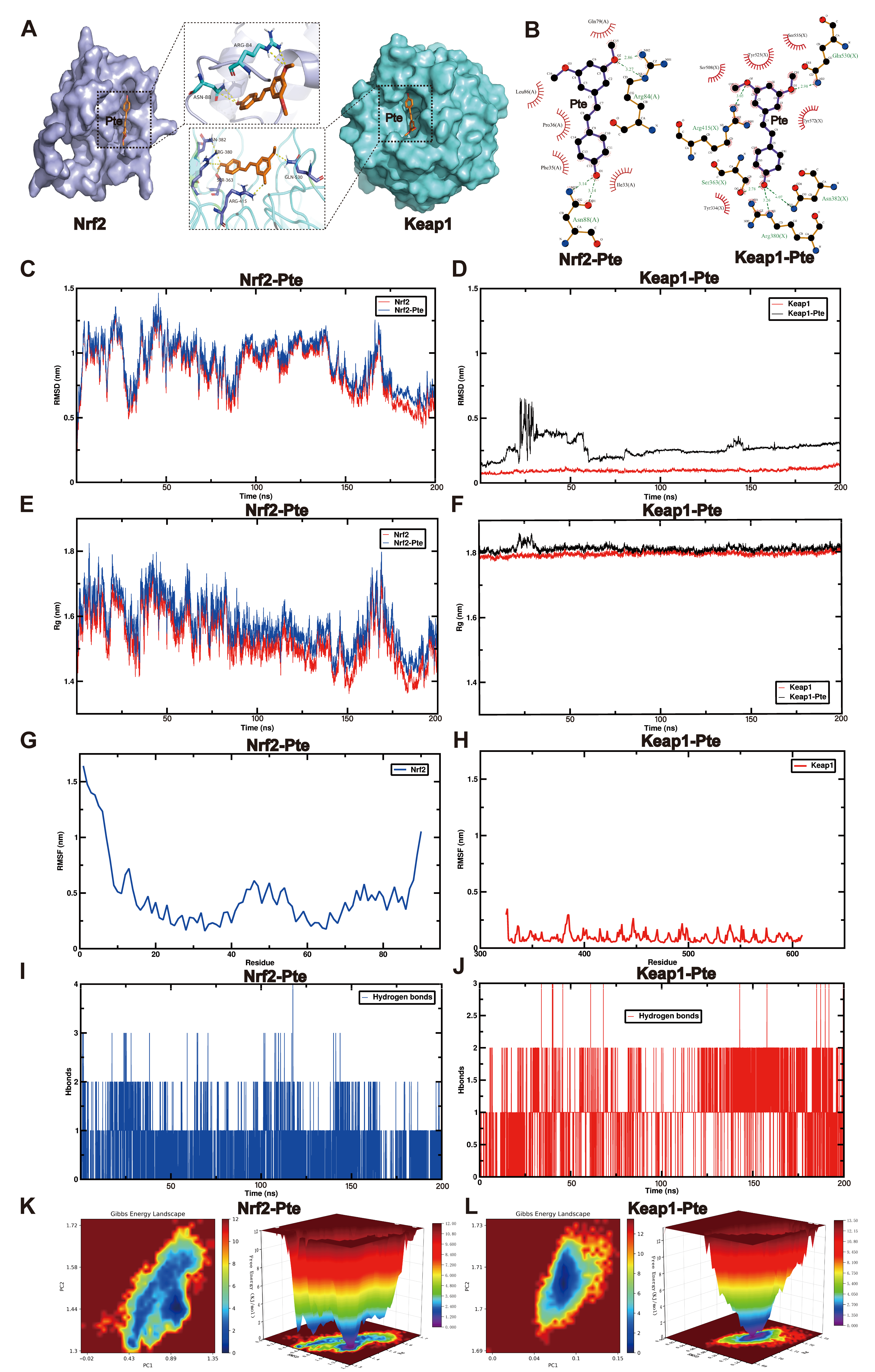 Antioxidants 15 00188 g005