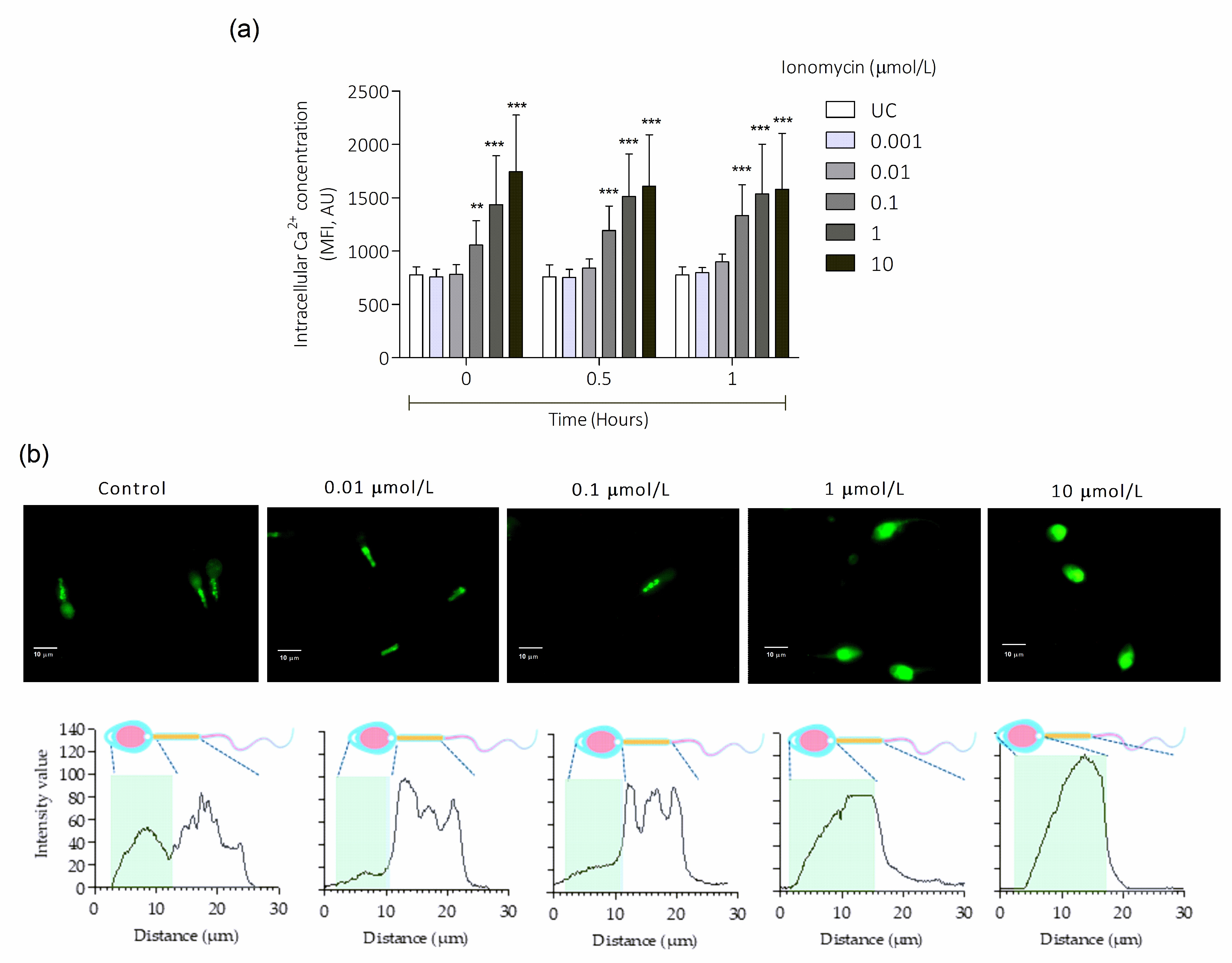 Antioxidants 15 00213 g001 Antioxidants 15 00213 g001