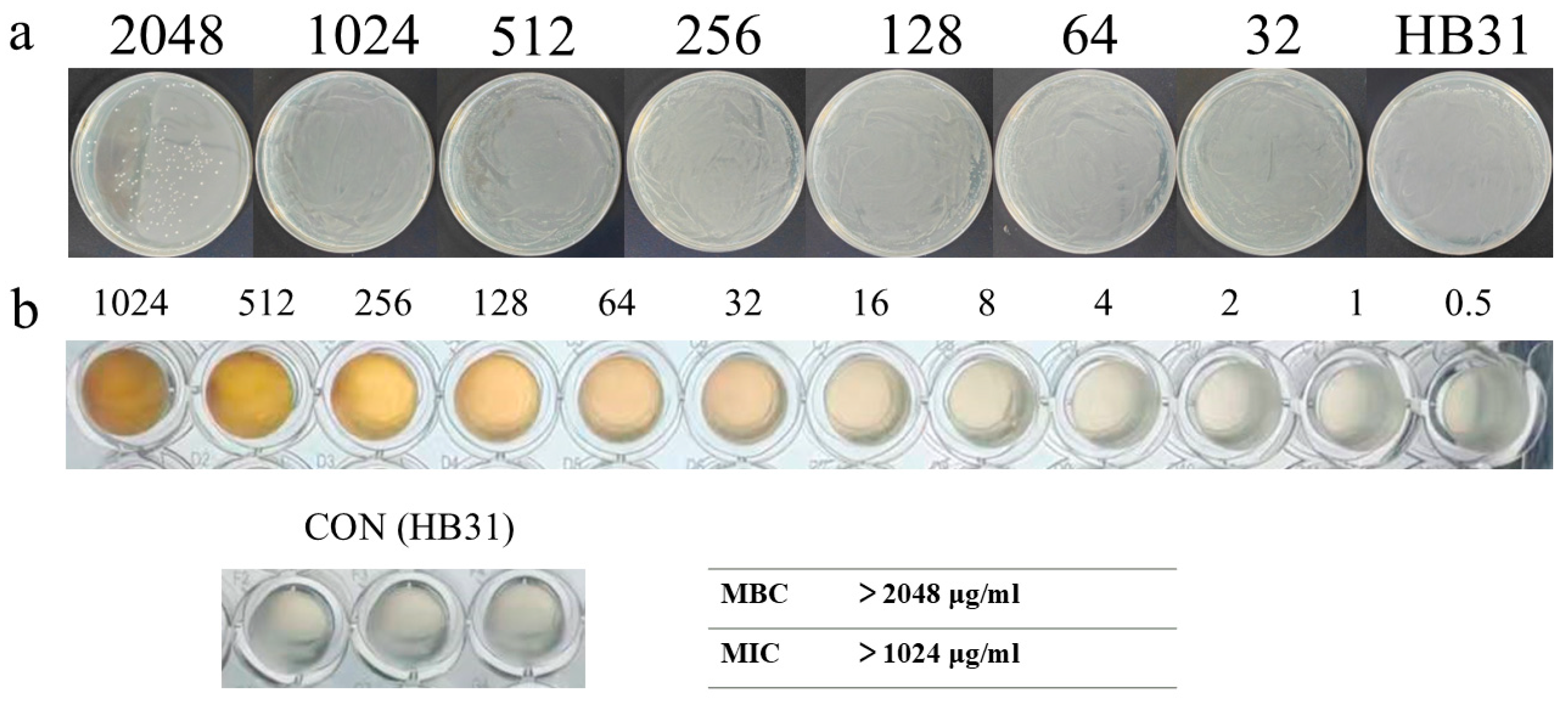 Antioxidants 15 00544 g002 Antioxidants 15 00544 g002