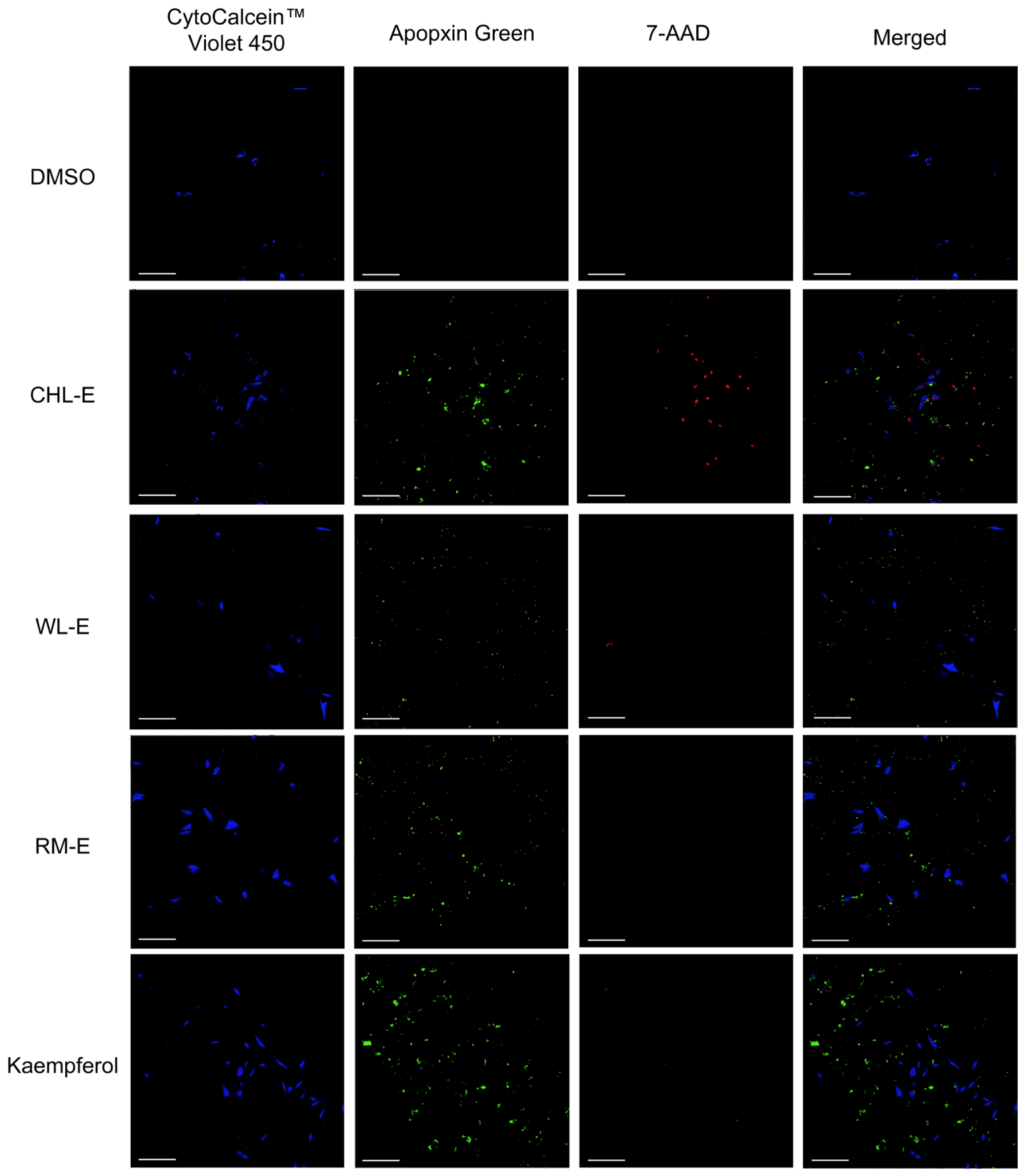 Antioxidants 15 00920 g005