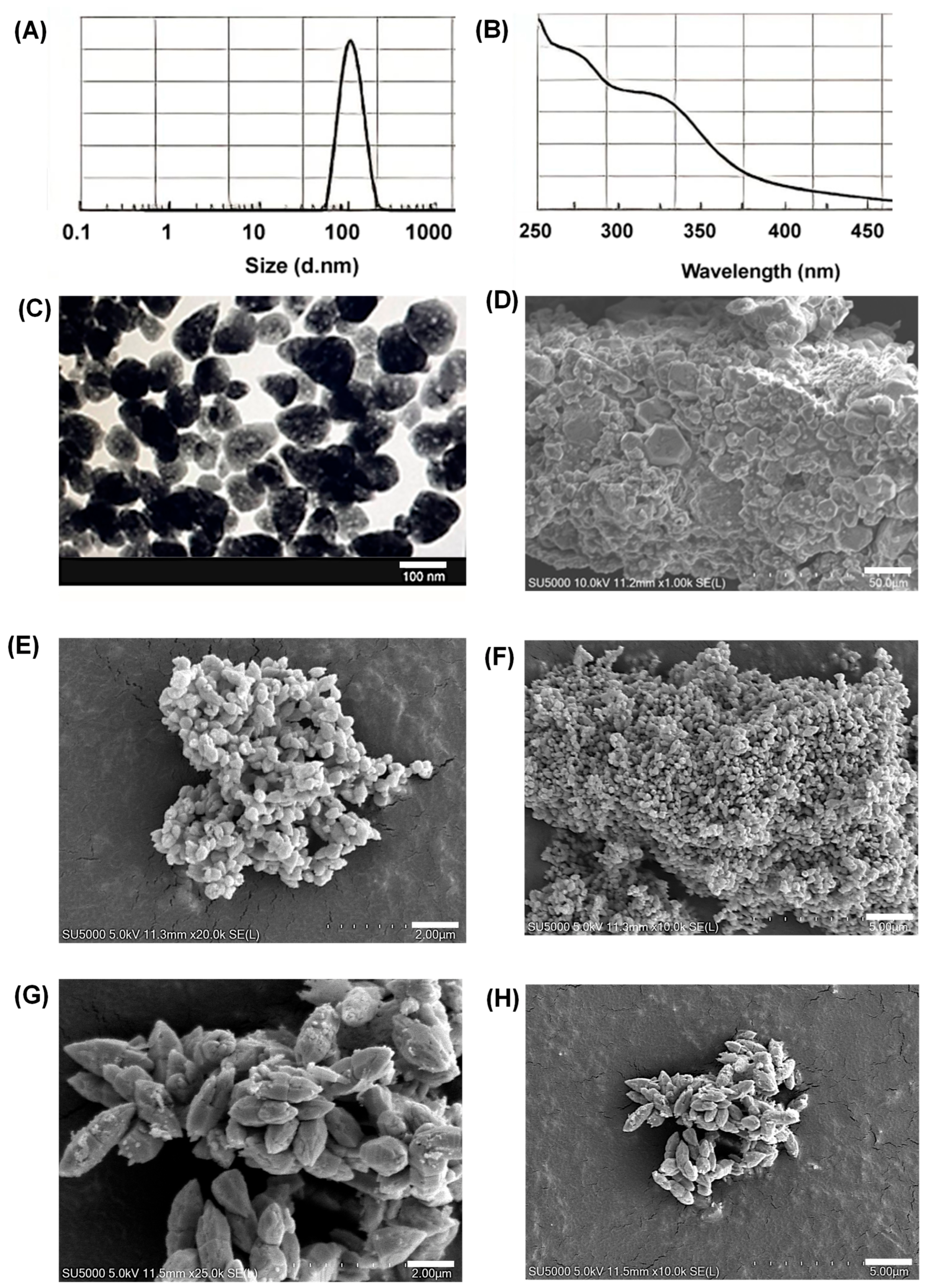 Antioxidants 15 00935 g002