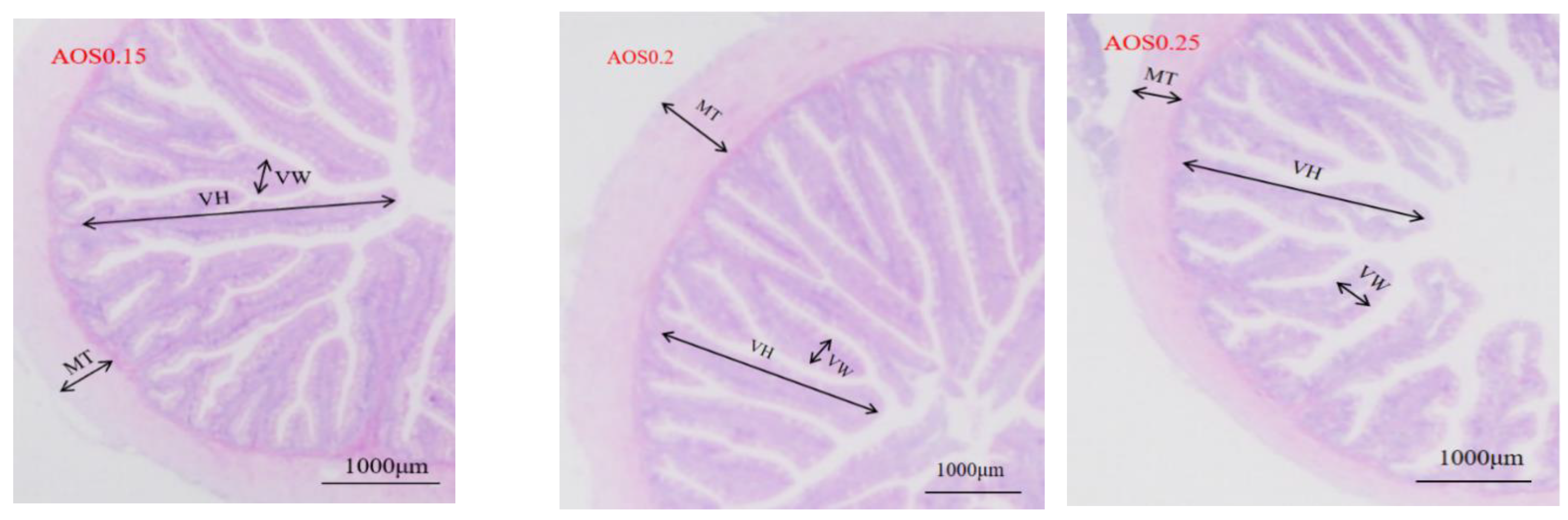 Antioxidants 15 01059 g010b Antioxidants 15 01059 g010b
