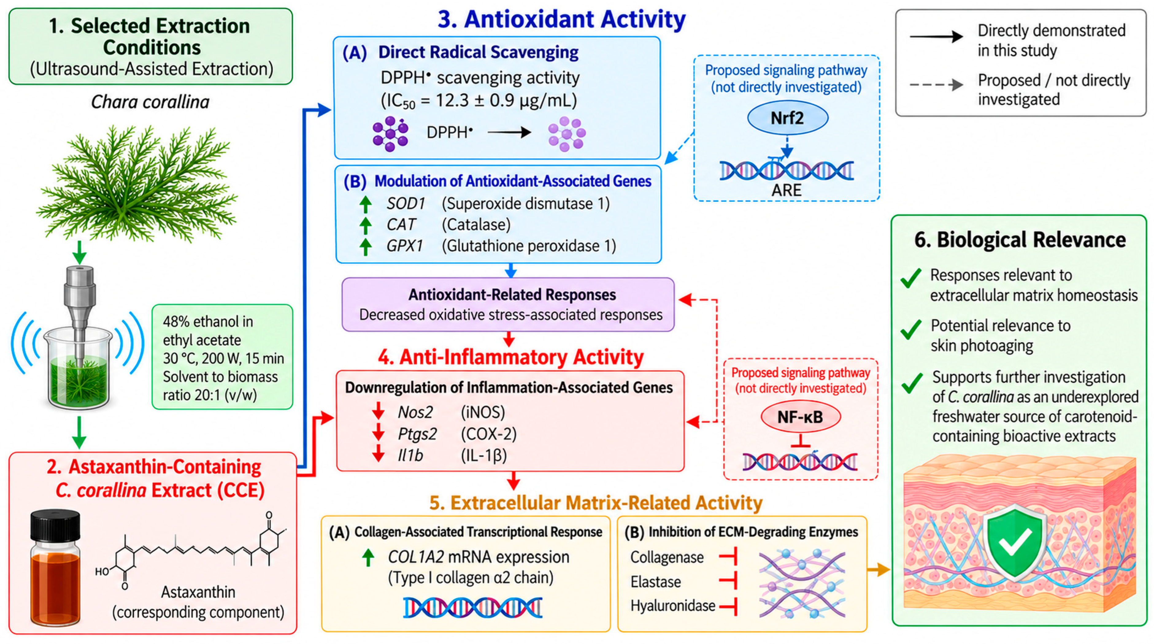 Antioxidants 15 01159 g008