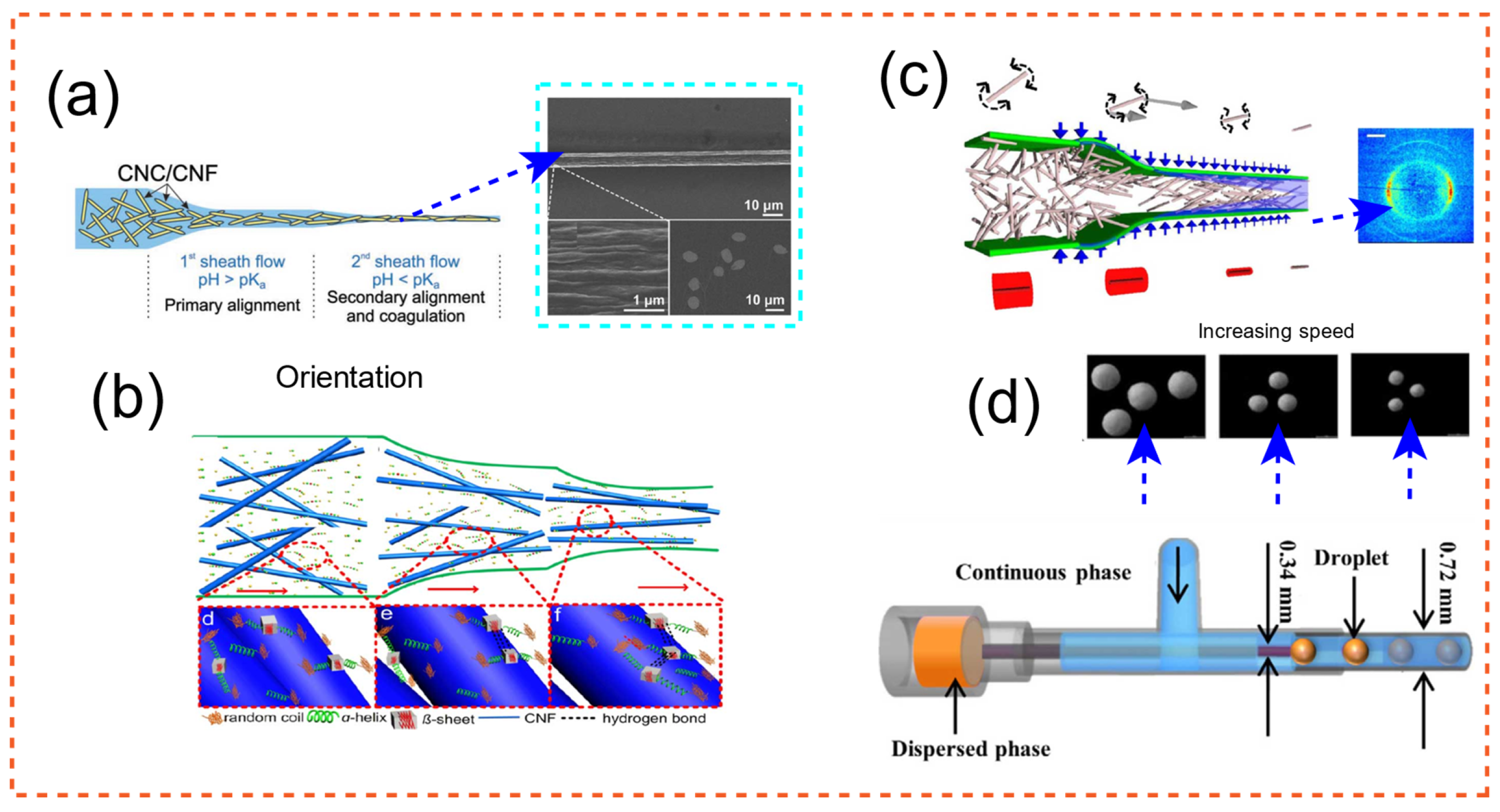 Applbiosci 01 00001 g001
