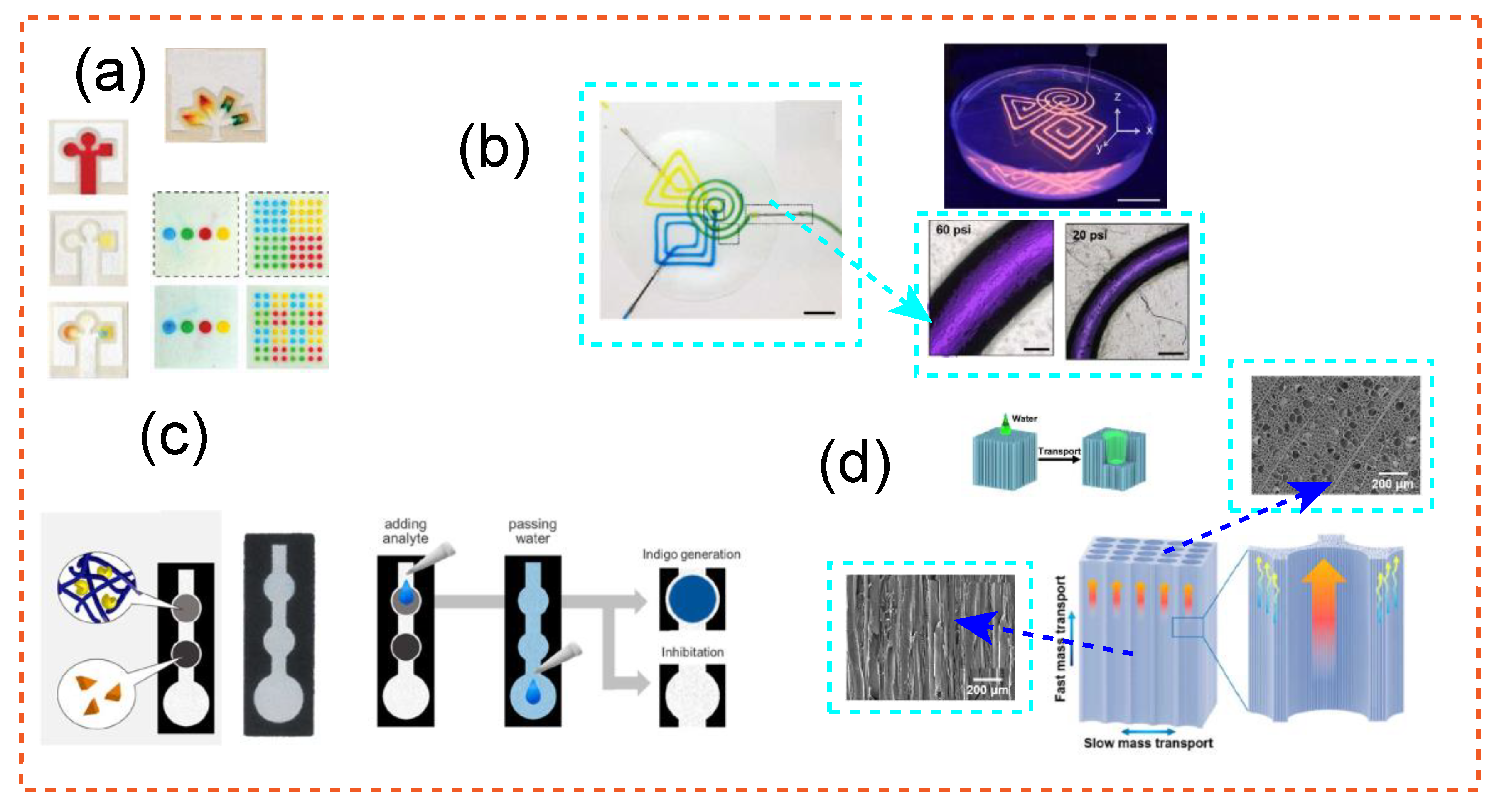 Applbiosci 01 00001 g003