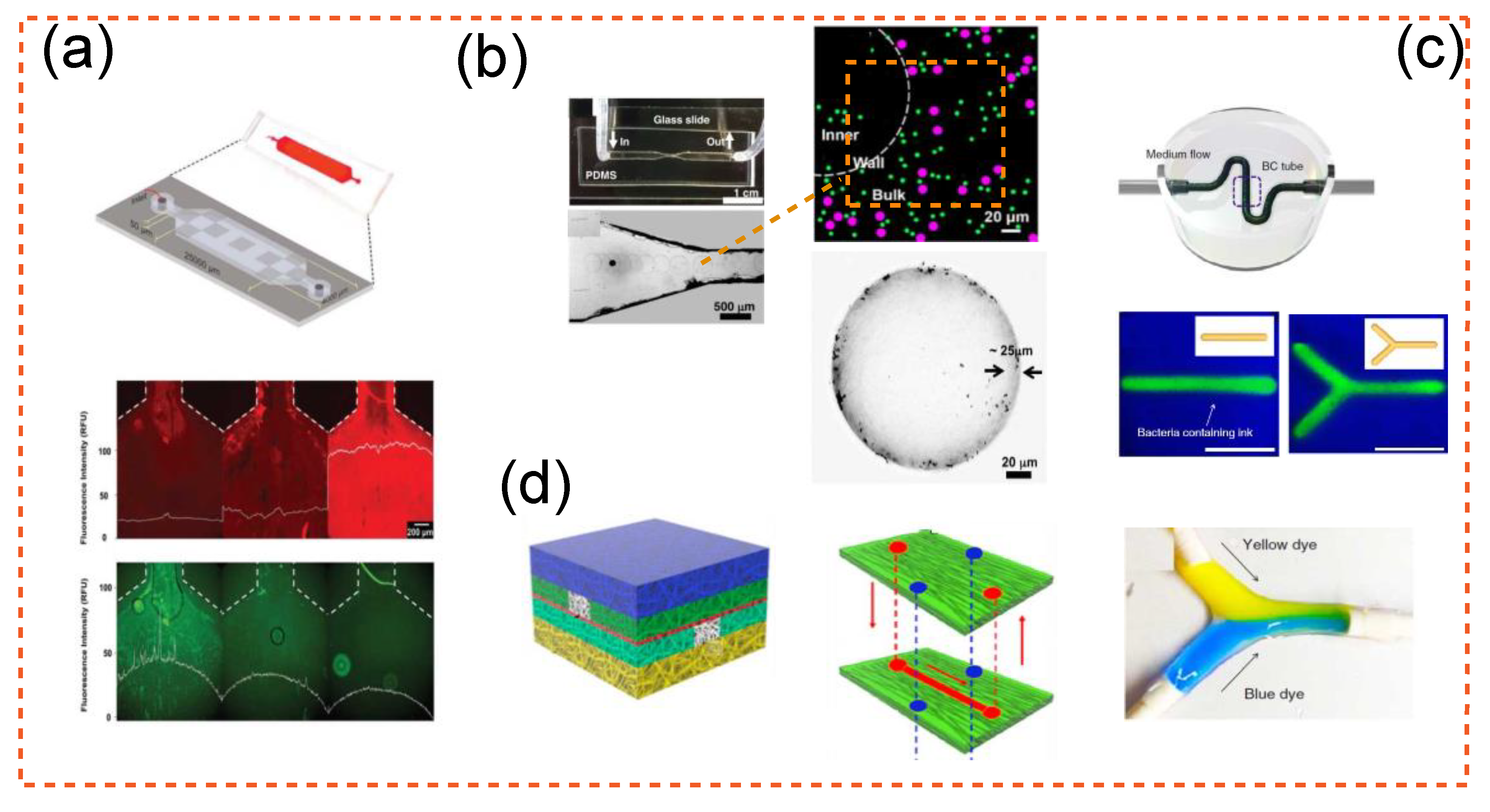 Applbiosci 01 00001 g004
