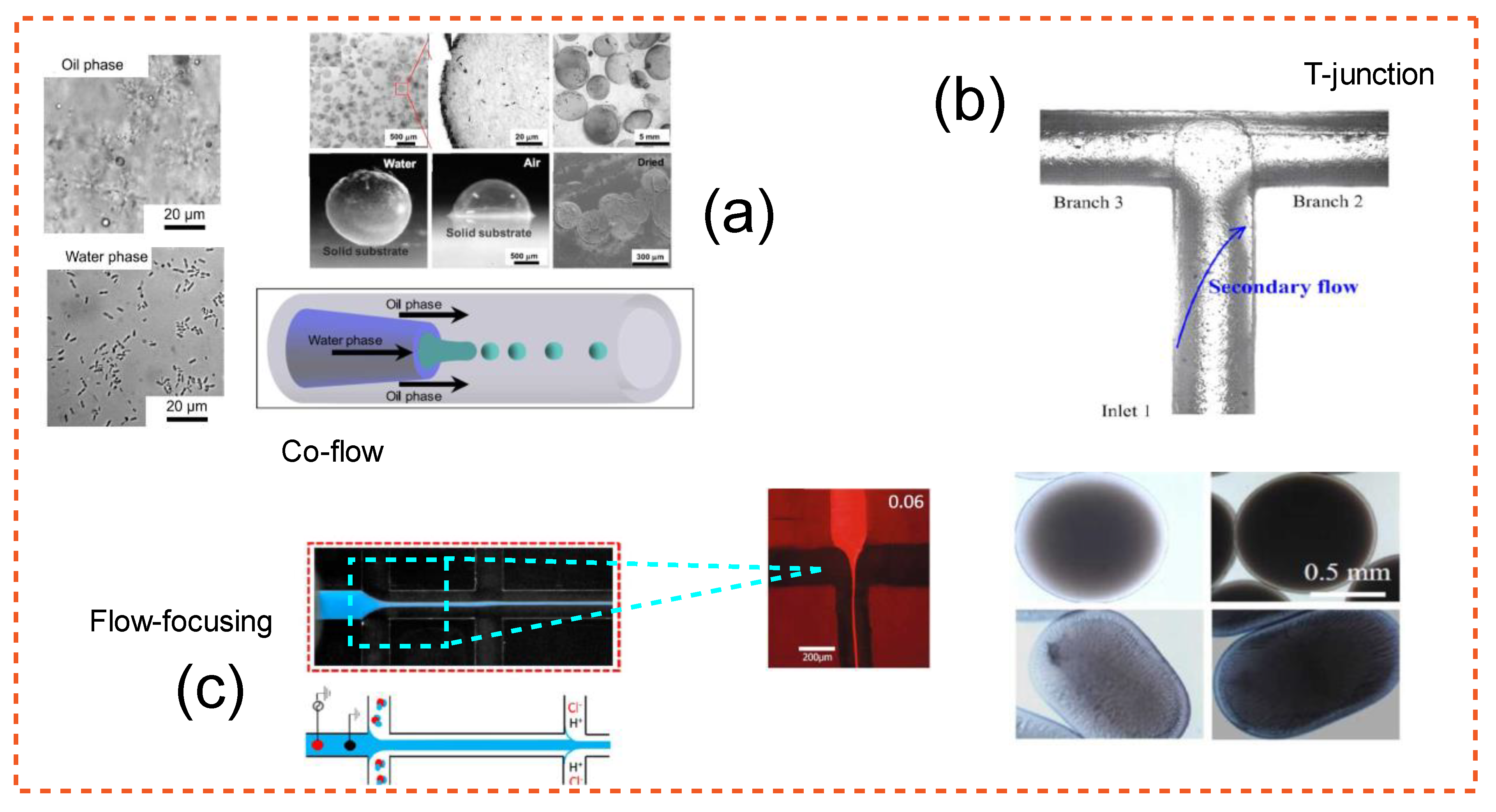Applbiosci 01 00001 g005
