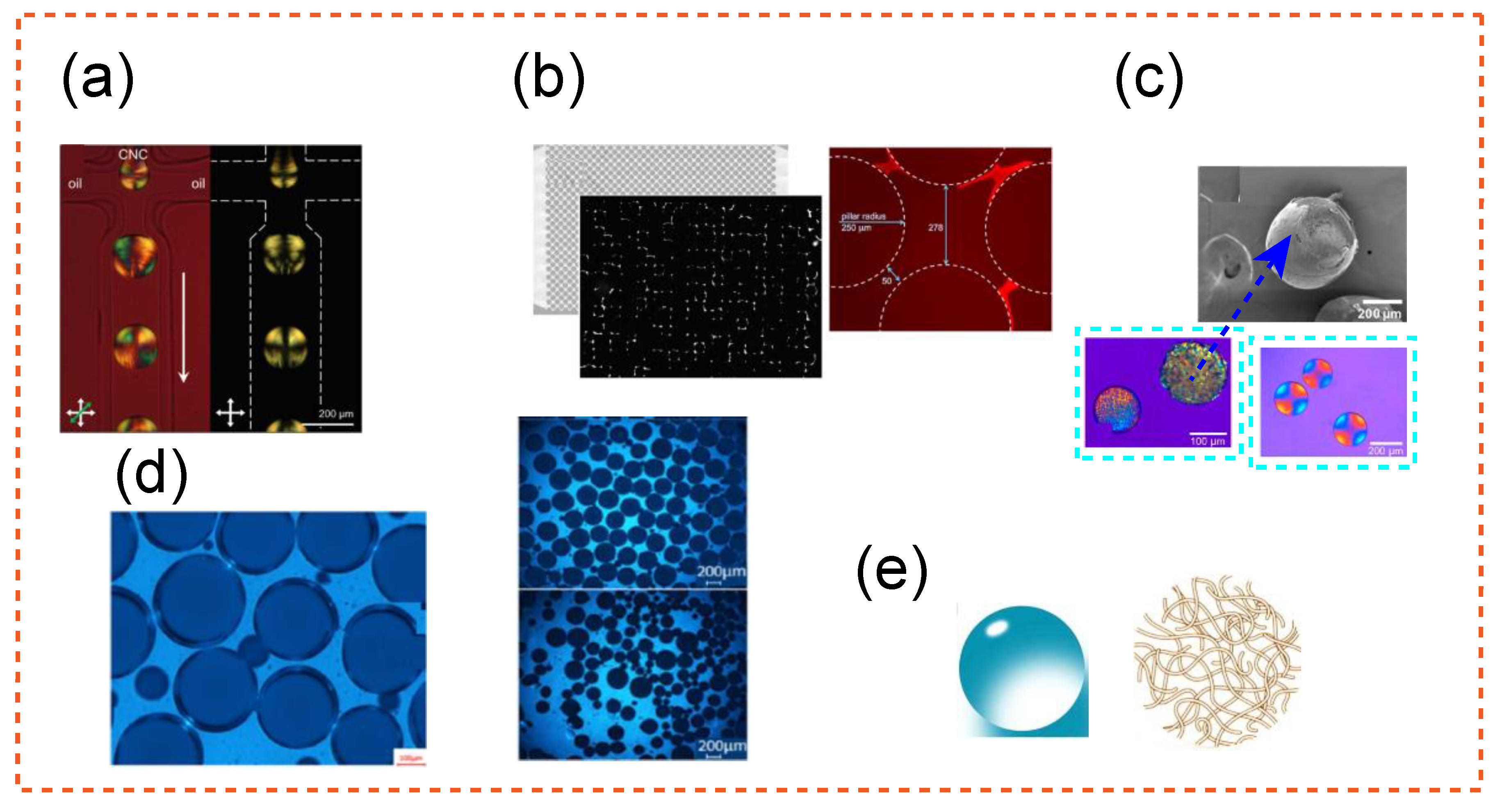 Applbiosci 01 00001 g006