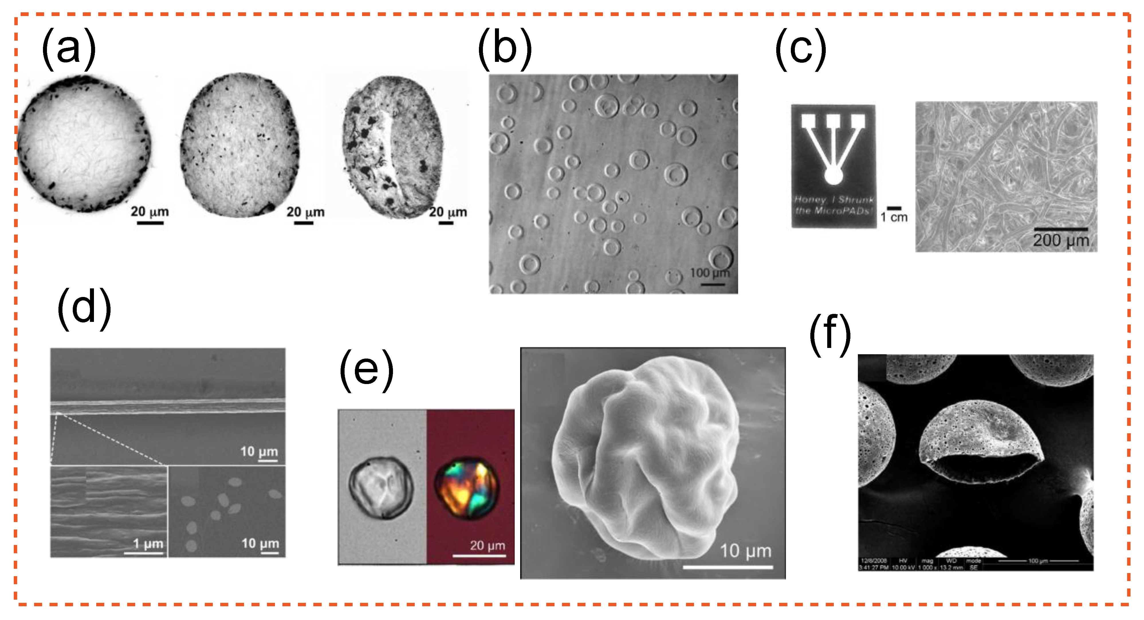 Applbiosci 01 00001 g008