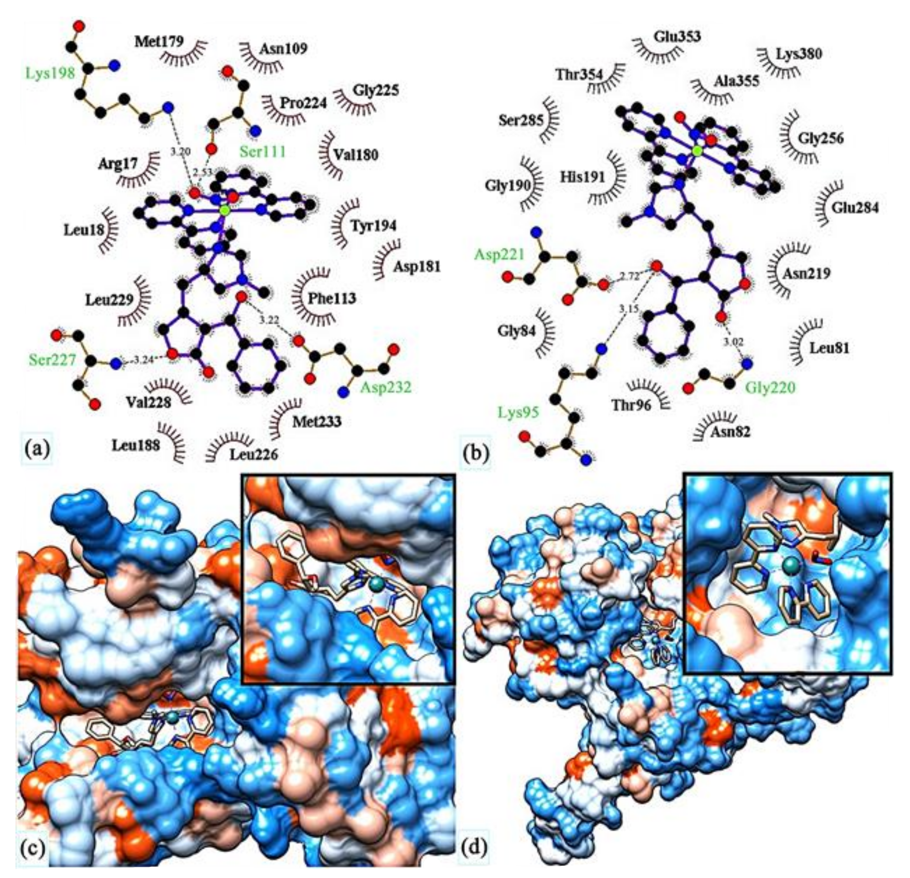 Applbiosci 01 00009 g005