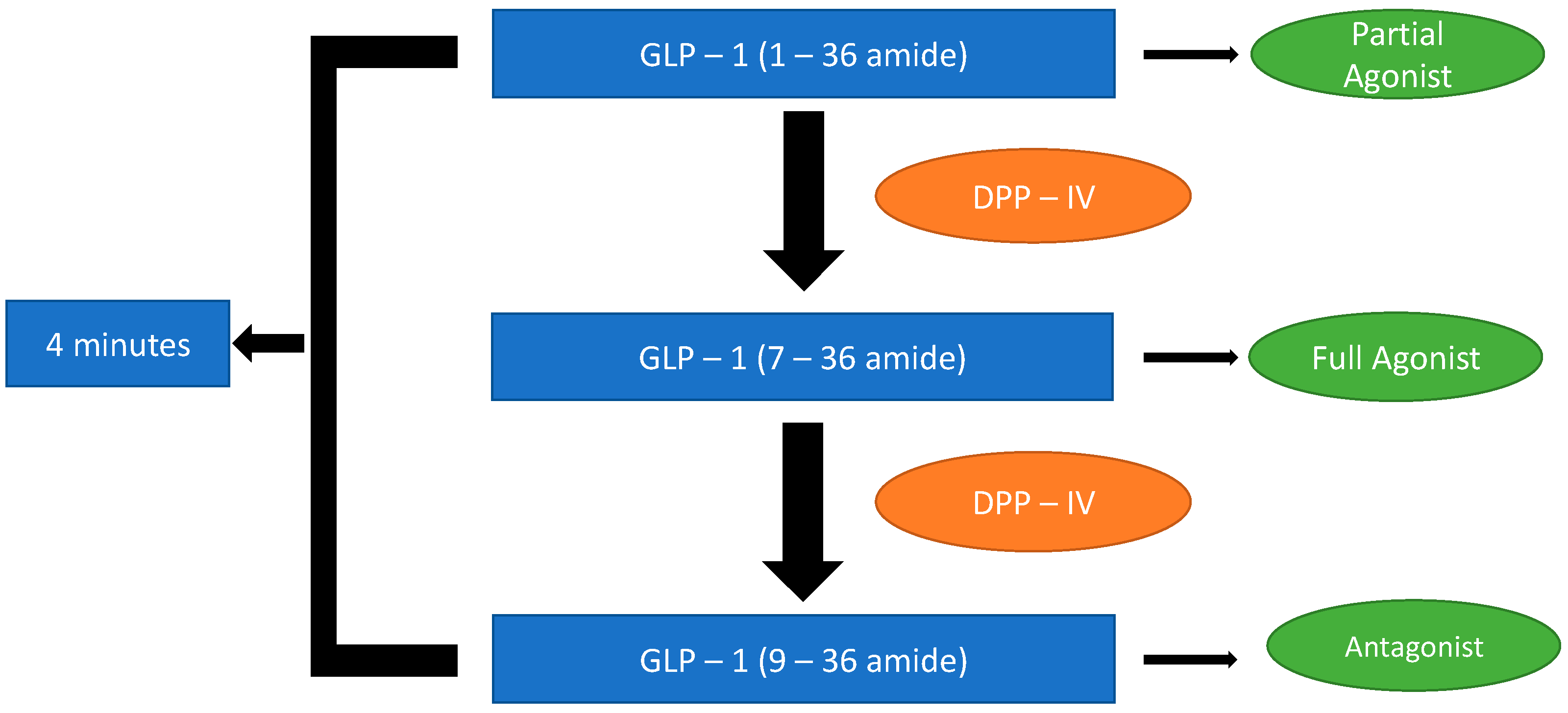 Applbiosci 01 00010 g002 550