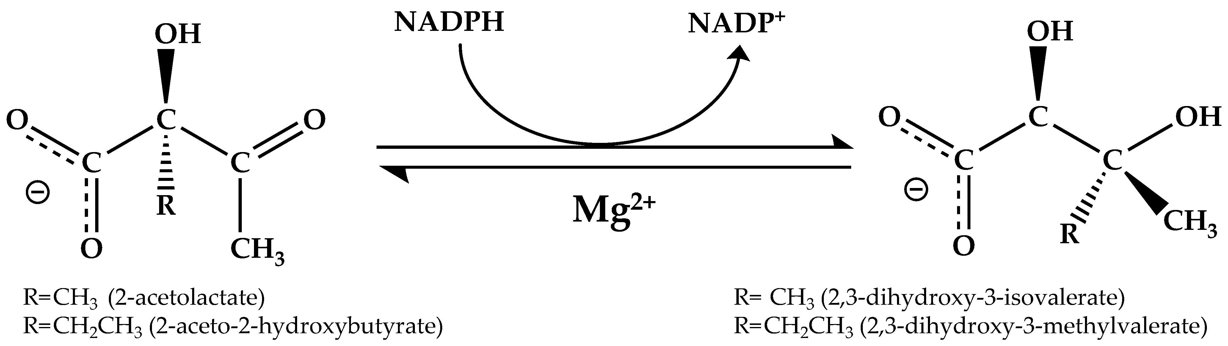Applbiosci 01 00011 g001