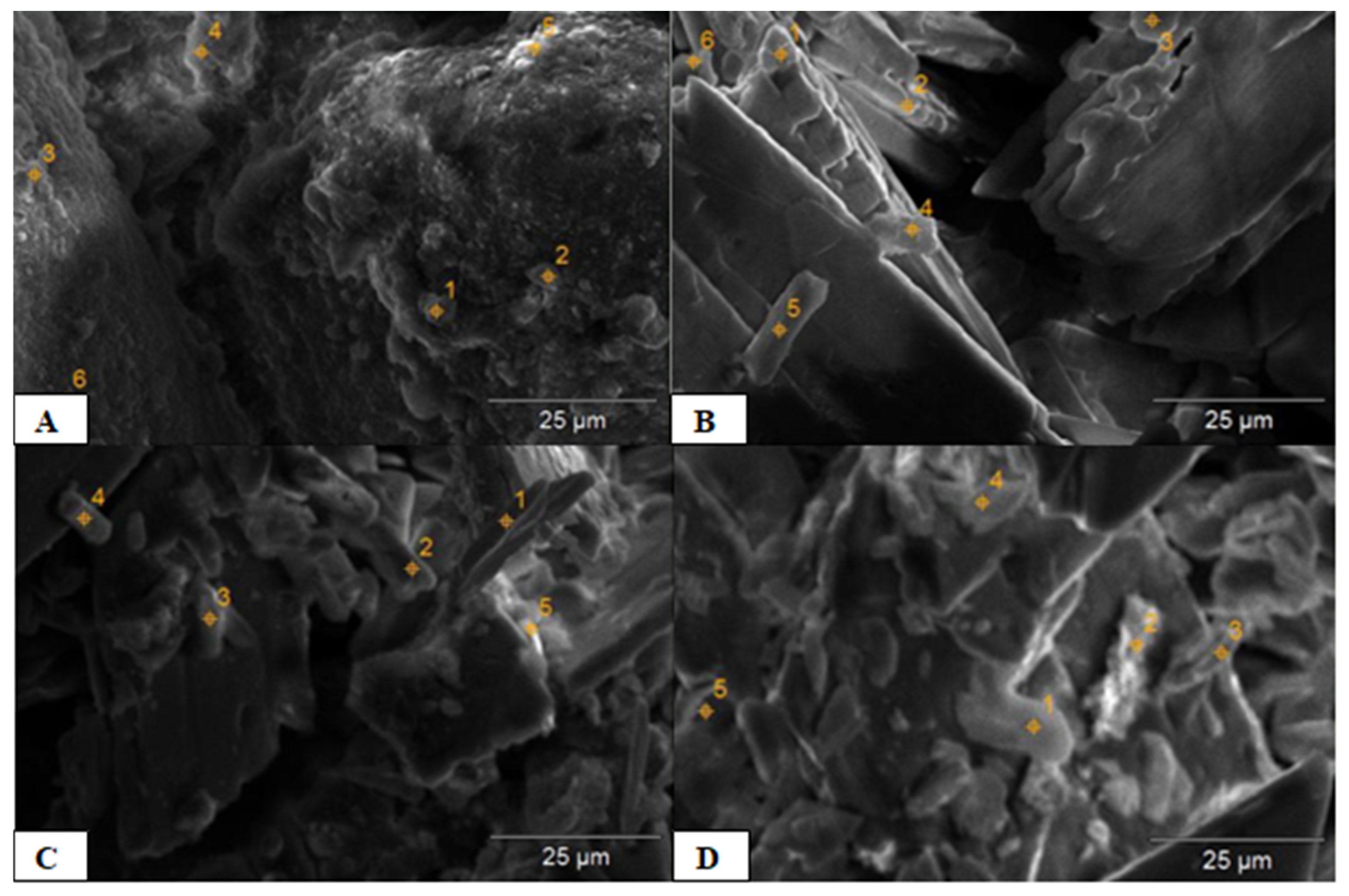 Applbiosci 01 00012 g001