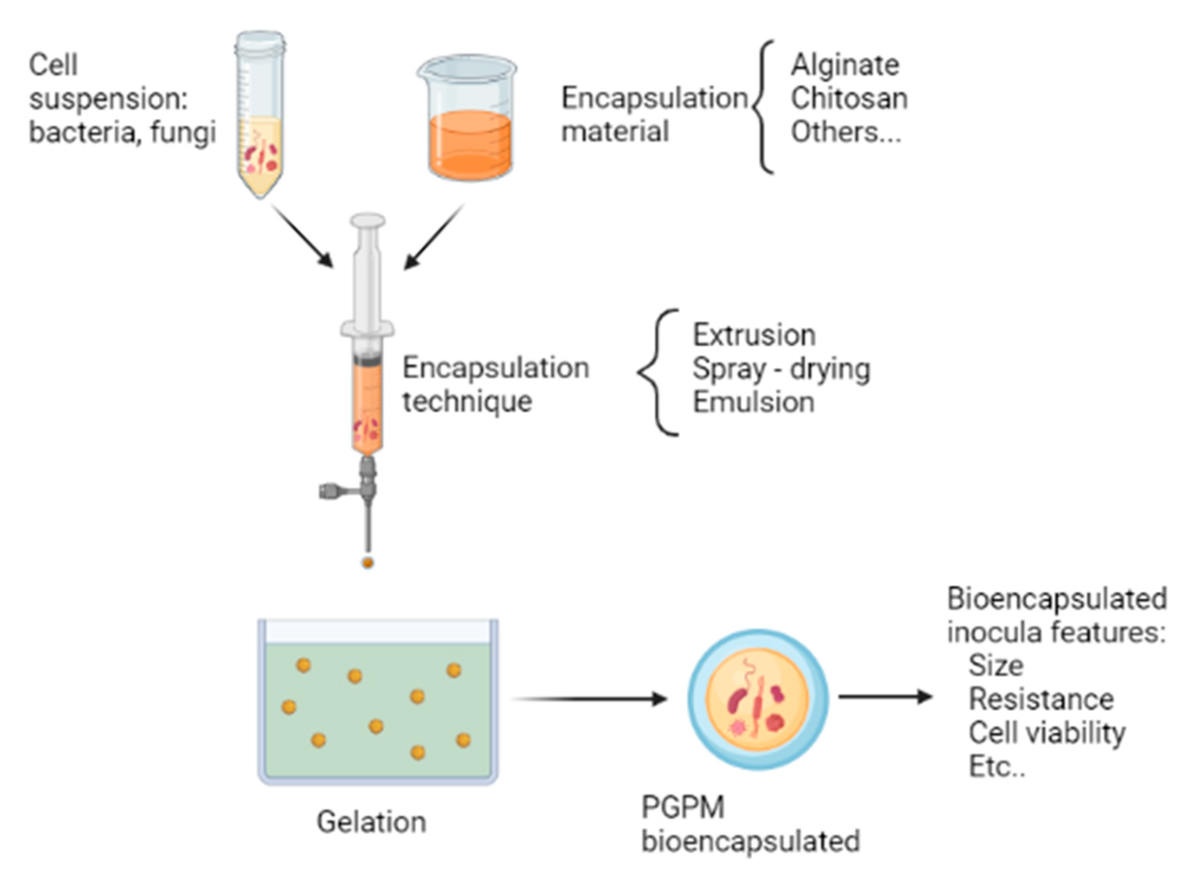 Applbiosci 01 00013 g002 Applbiosci 01 00013 g002