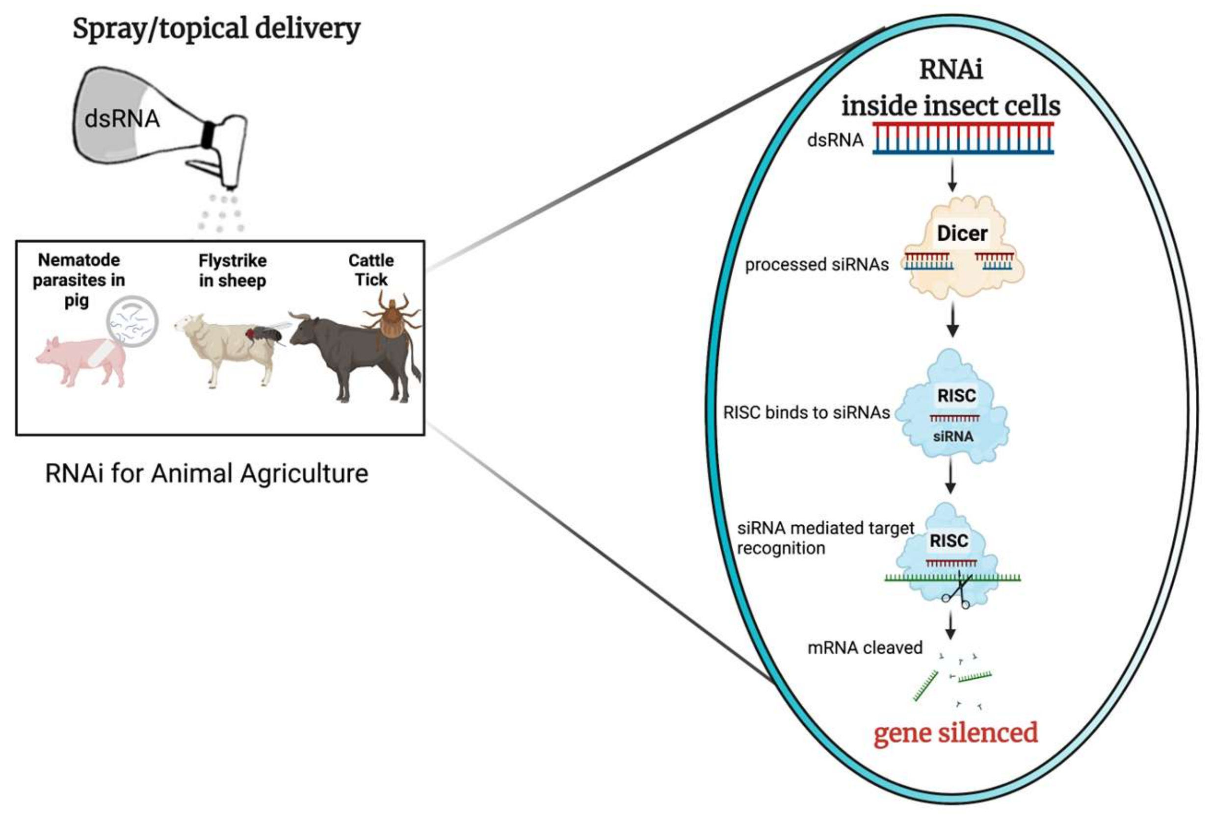 Applbiosci 01 00015 g001